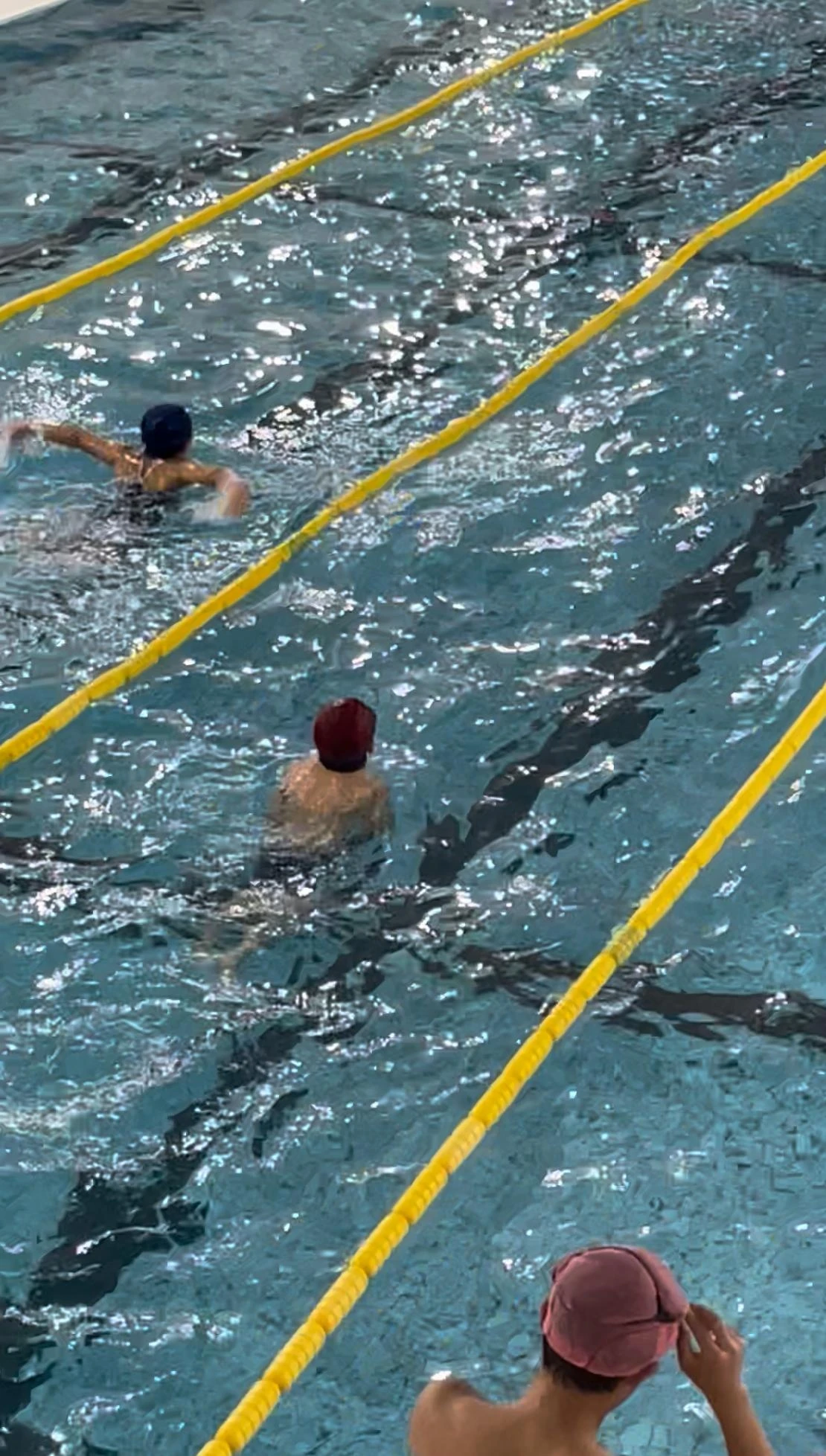 レビュー画像 1