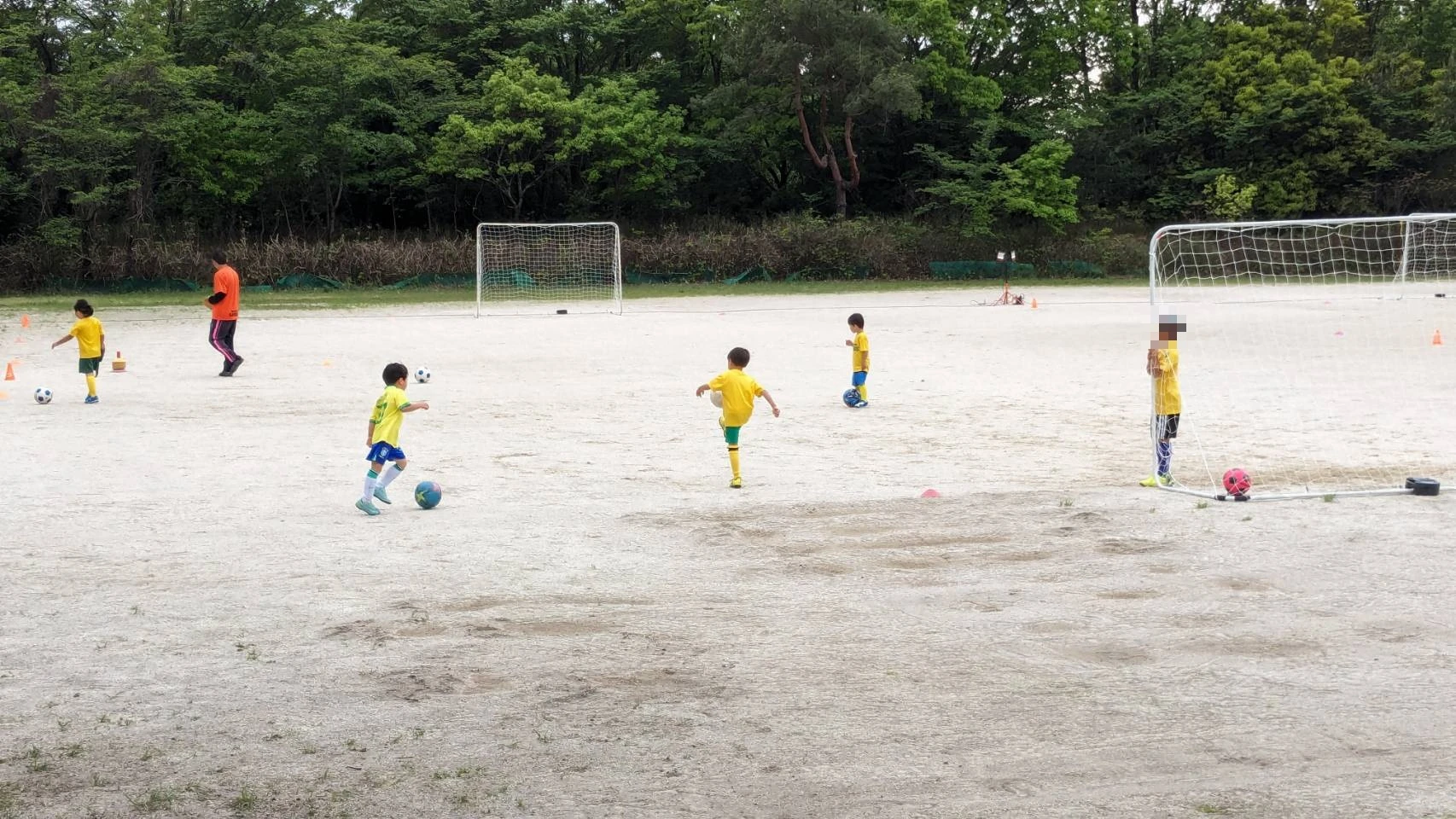 レビュー画像 1