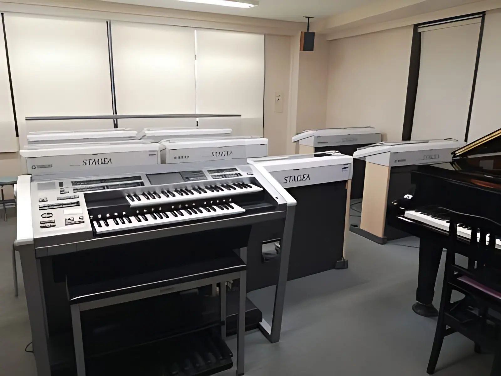 スガナミ楽器 マンドリン ミュージックサロン目黒のサムネイル画像 4