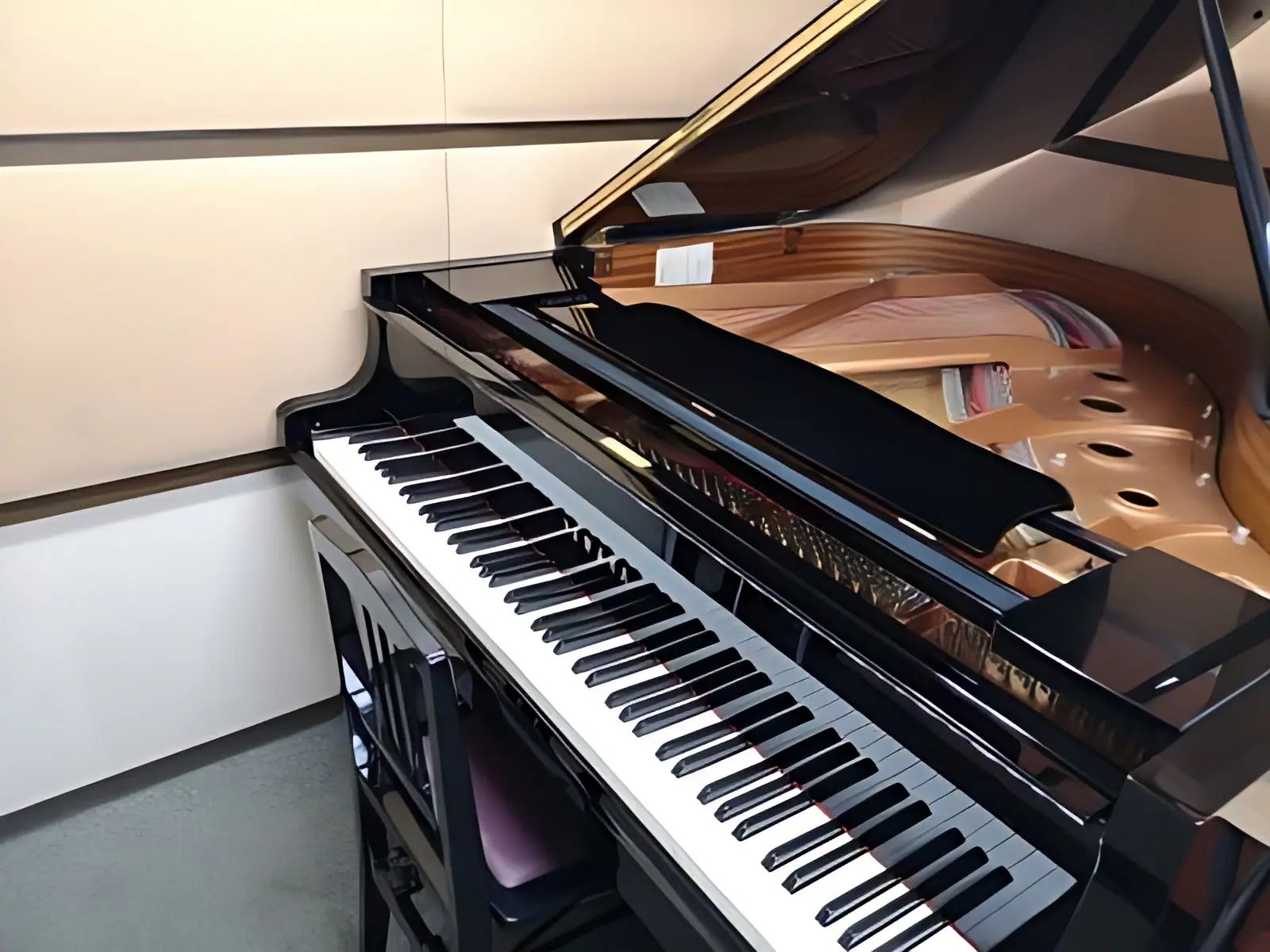 スガナミ楽器 マンドリン ミュージックサロン目黒のサムネイル画像 5