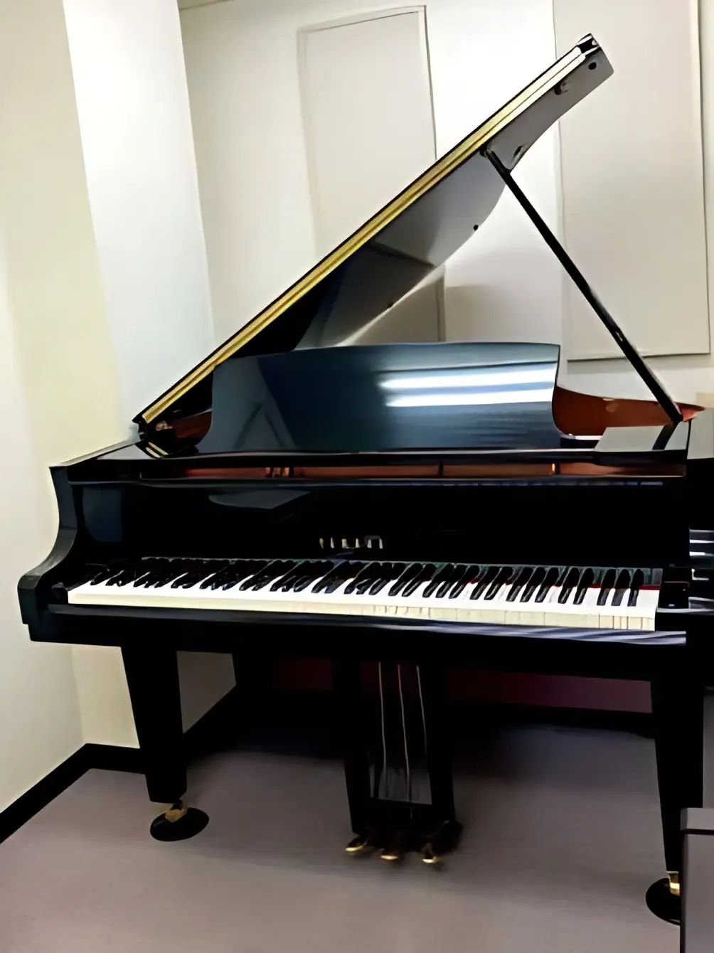 いけぶくろ楽器 電子オルガン 池袋西口センターのメイン画像