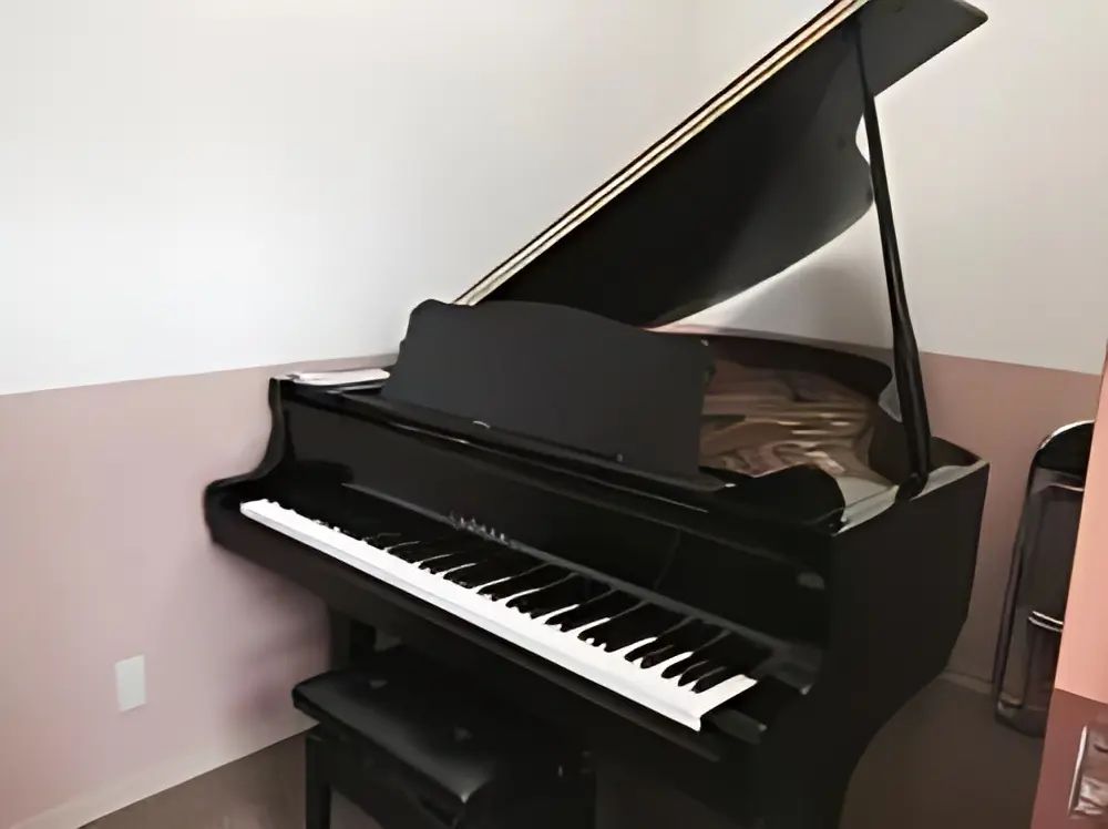 ヤマハ音楽教室 サンリツ楽器 田子西センターのサムネイル画像 2