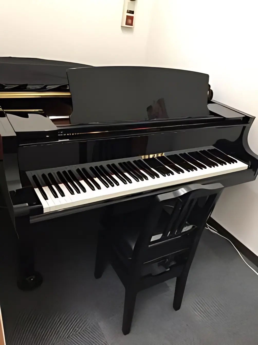 いけぶくろ楽器 電子オルガン 戸田新曽センターのメイン画像