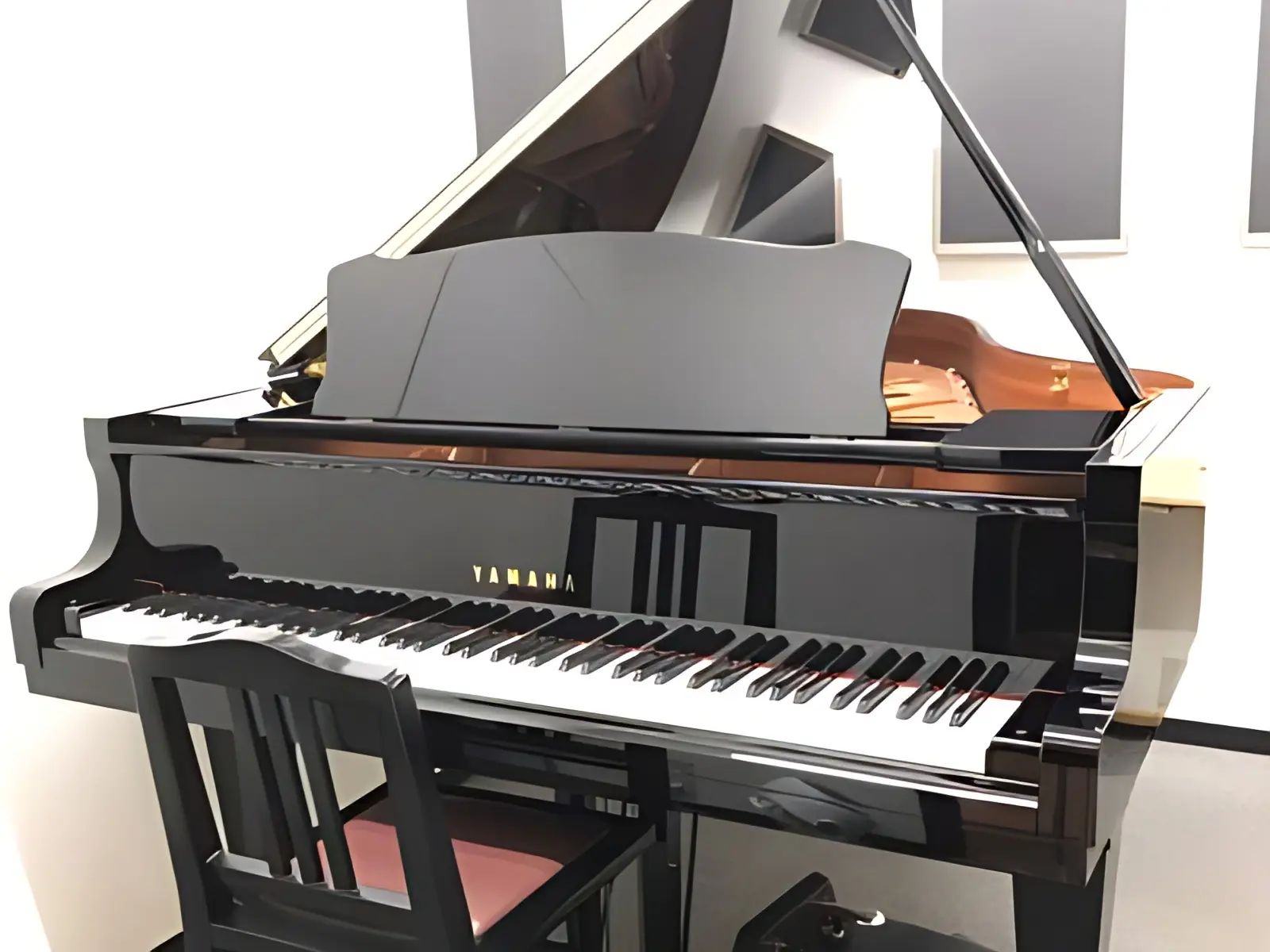 スガナミ楽器 和楽器 南大沢駅前センターのメイン画像