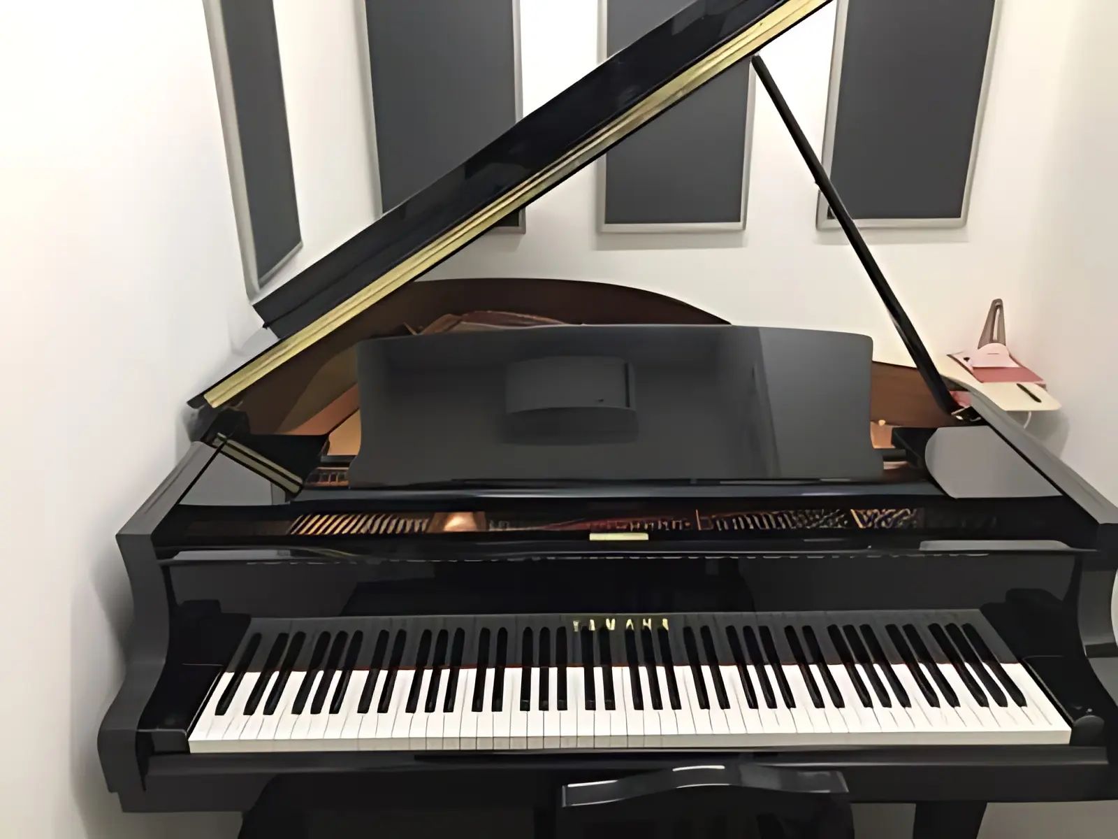 スガナミ楽器 和楽器 南大沢駅前センターのサムネイル画像 2