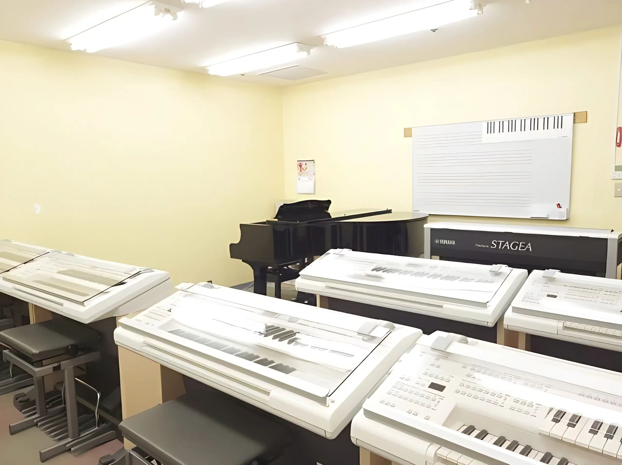 スガナミ楽器 和楽器 永山センターのサムネイル画像 2