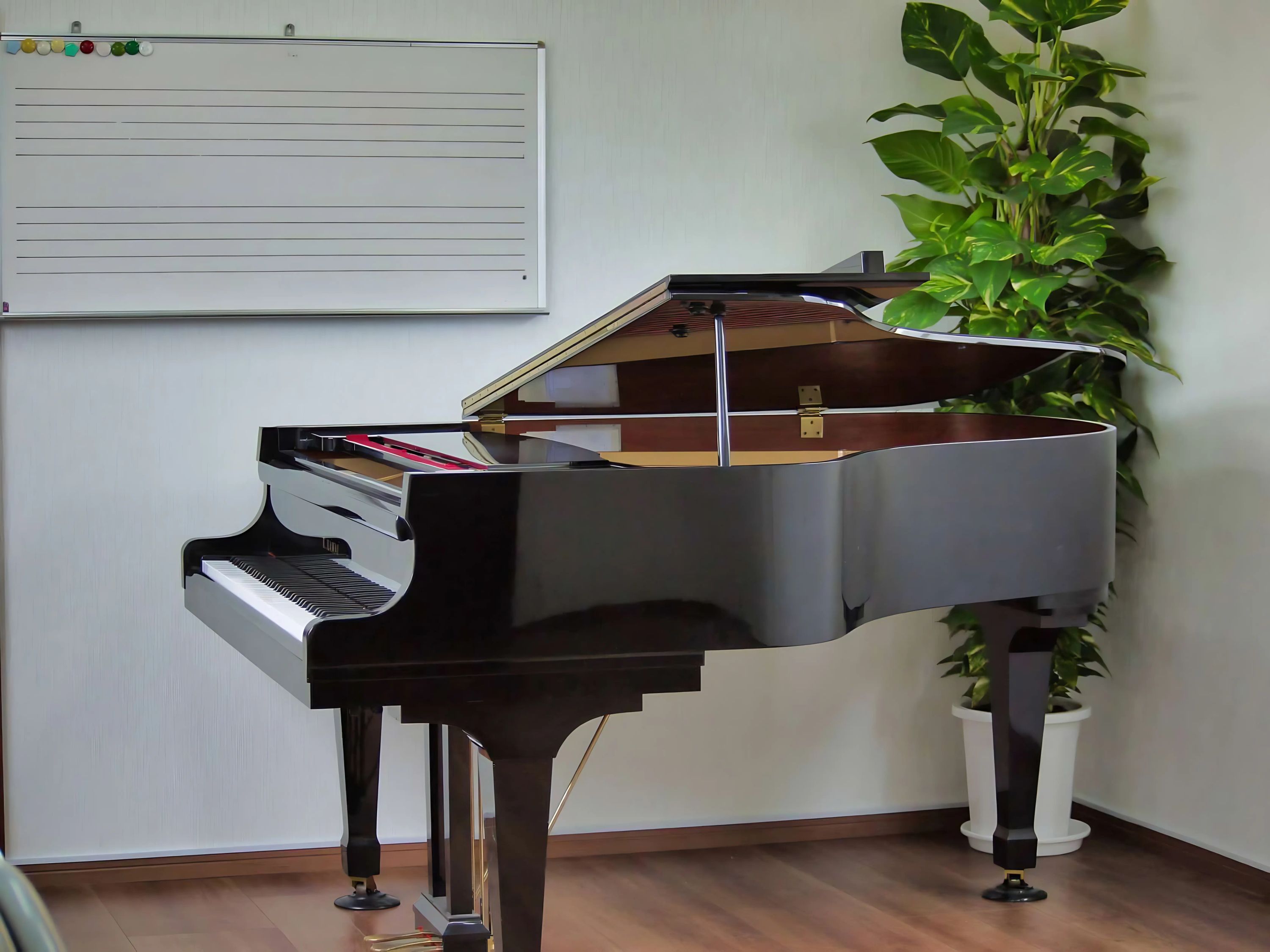 西尾楽器 和楽器 掛川駅前教室(西尾楽器)のサムネイル画像 3