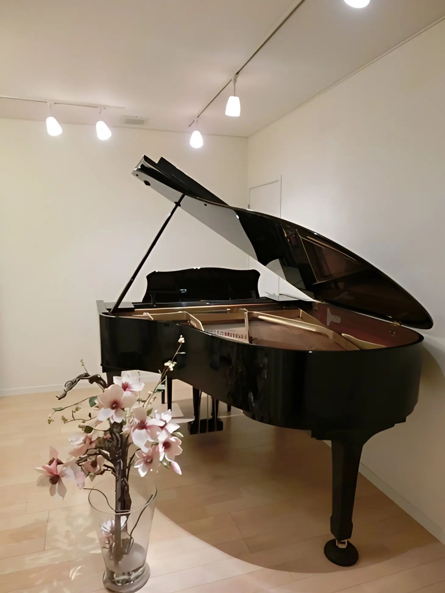 うえそのあつこピアノ教室 リトミック 船橋教室のメイン画像