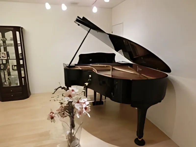 うえそのあつこピアノ教室 リトミック 船橋教室のサムネイル画像 2