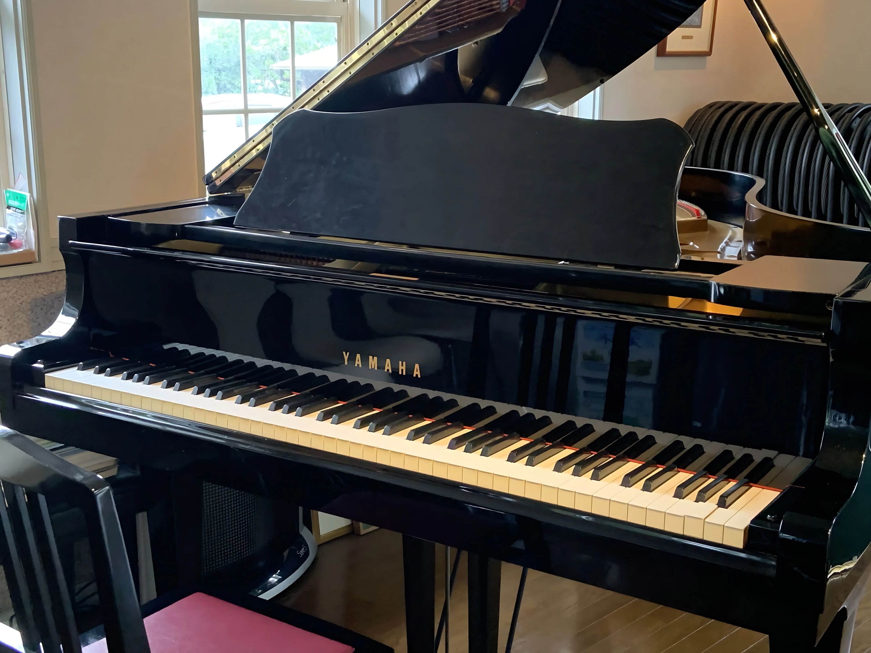 ムジカのだ リトミック 新松戸教室のサムネイル画像 2