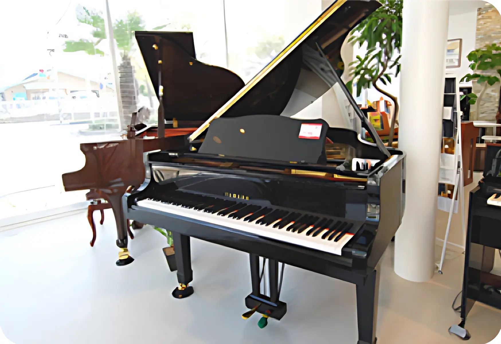 やぎ楽器 リトミック 広畑店のメイン画像