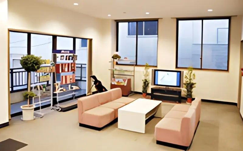 YJGA蒲田校のサムネイル画像 2