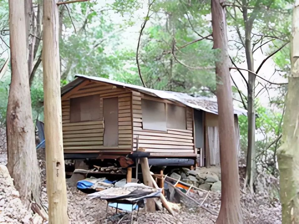 ボーイスカウト 京都第50団のメイン画像