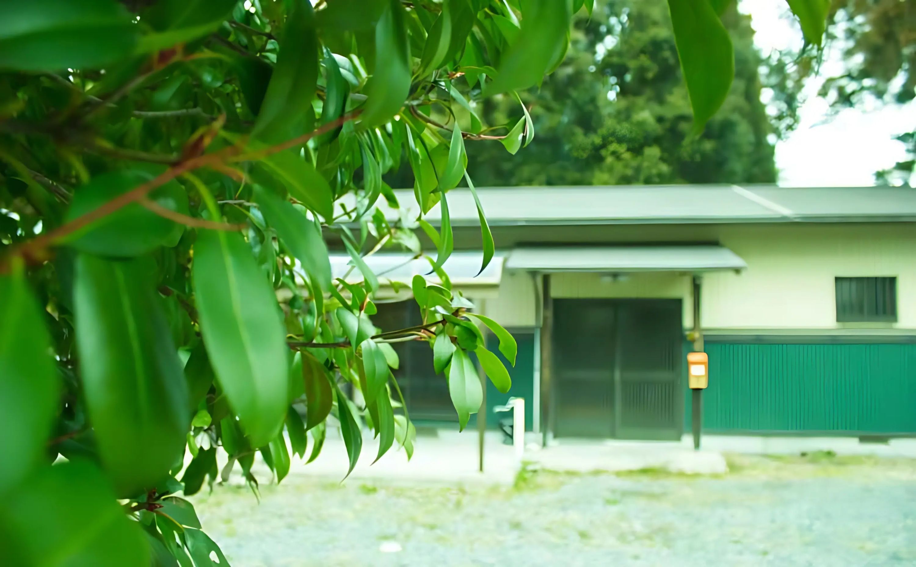 ねくすと 療育（発達支援） 本校のメイン画像