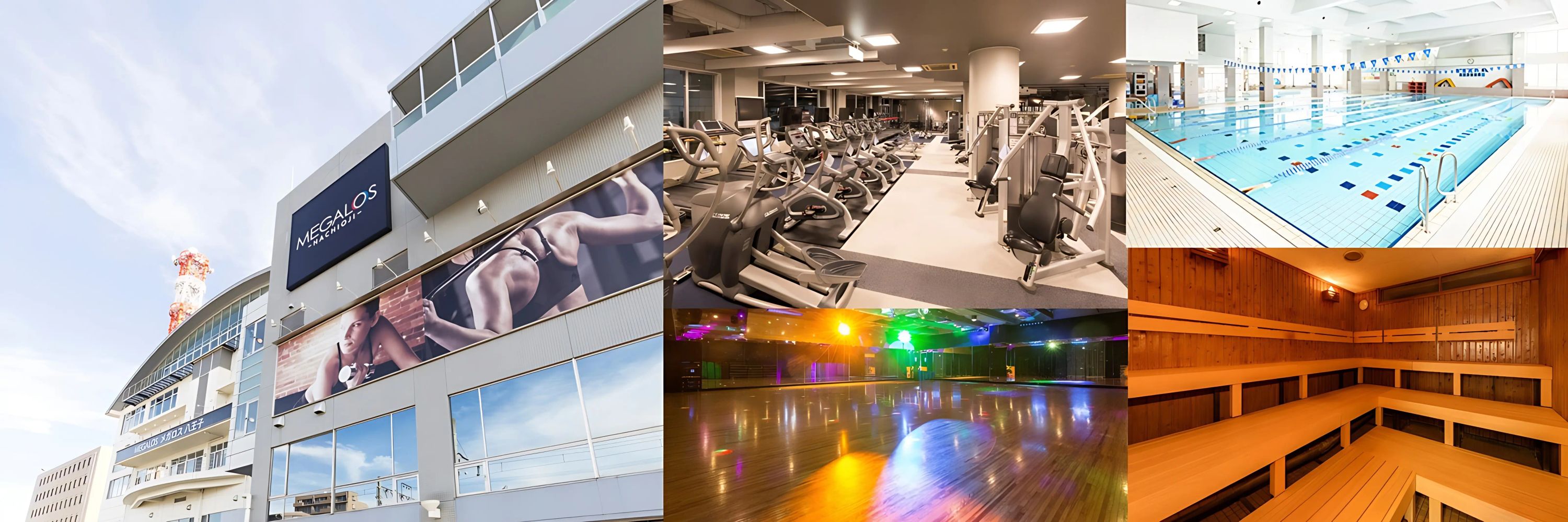 メガロス キッズ空手スクール 八王子のメイン画像