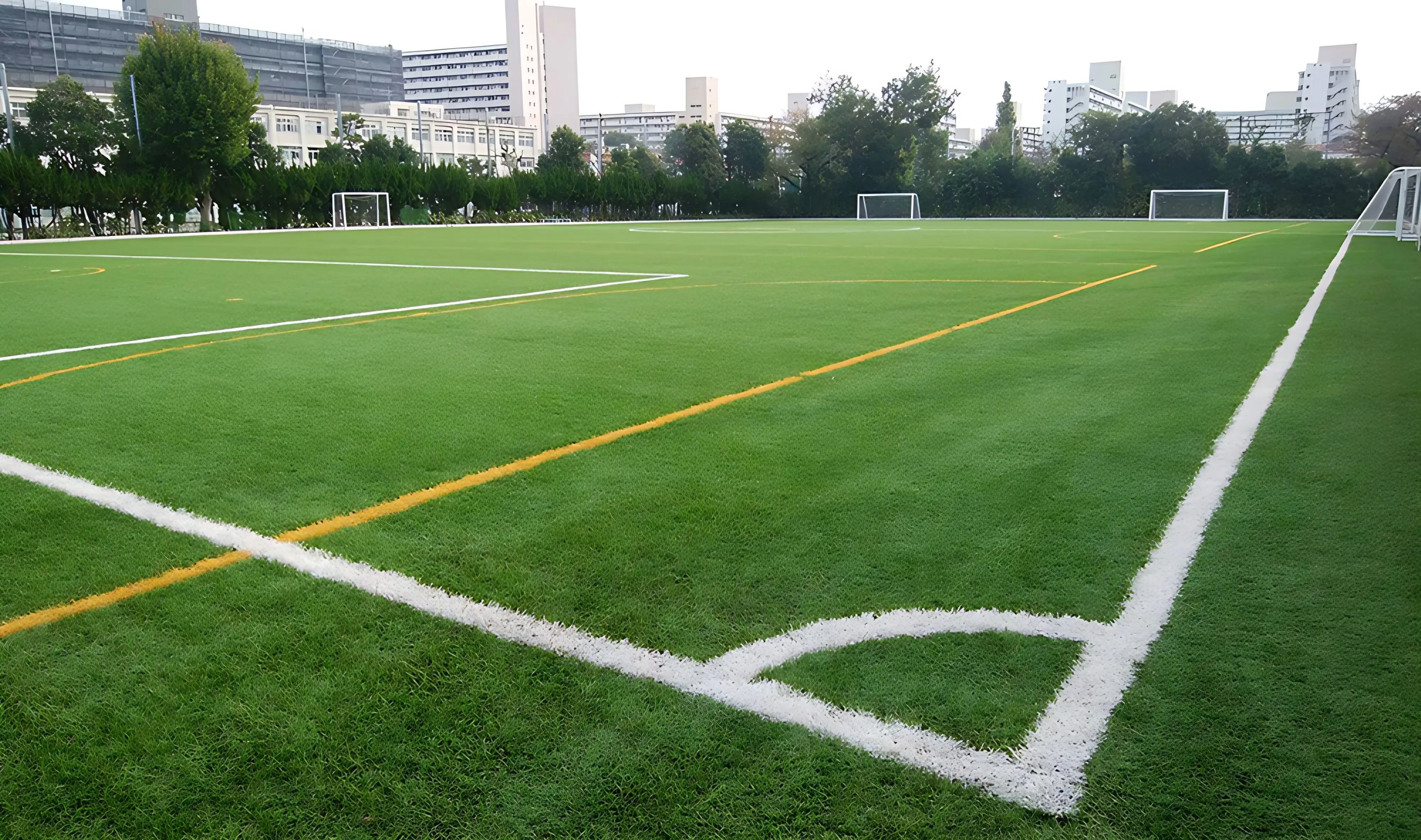 高島平サッカークラブ 高島平多目的運動場のメイン画像