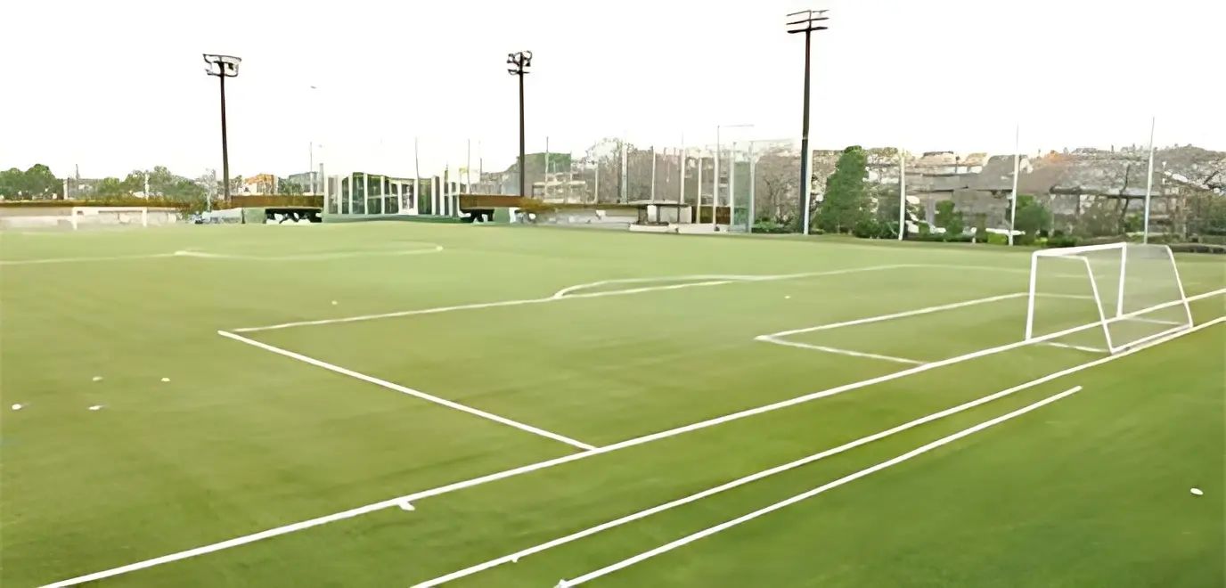 東京杉並ソシオフットボールクラブ 下高井戸運動場のメイン画像