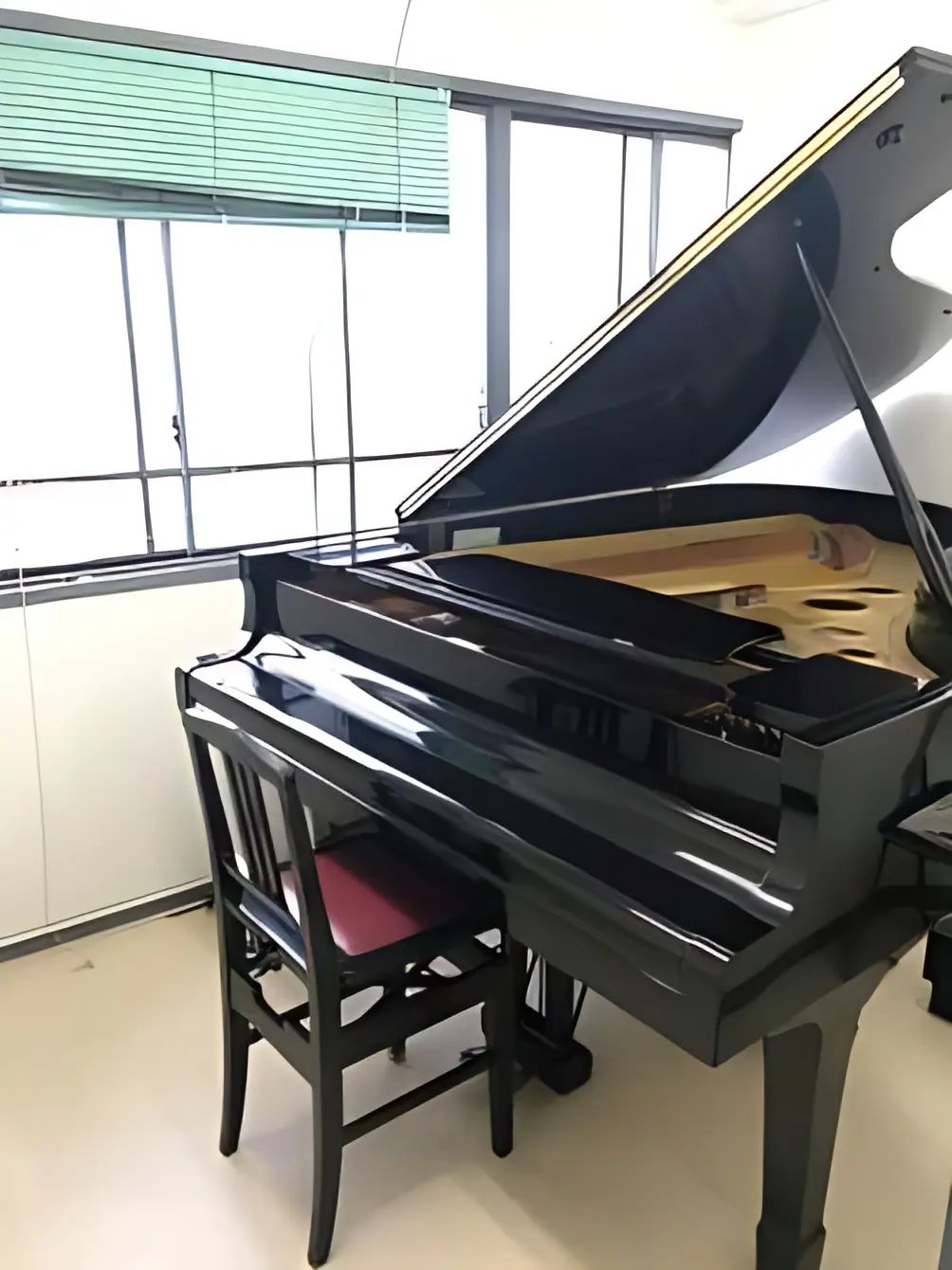 タンザワミュージックスクール その他弦楽器 沼津センターのメイン画像