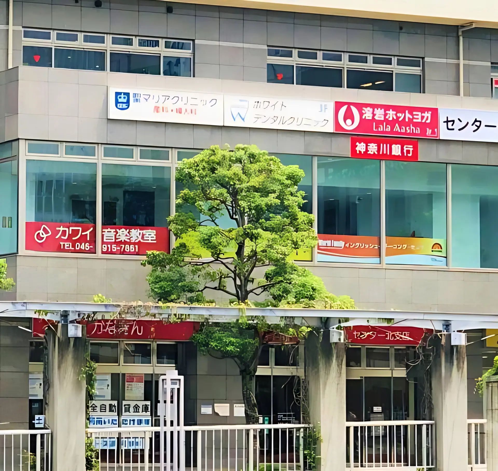 カワイ音楽教室 バイオリンコース 港北ニュータウンセンターのメイン画像