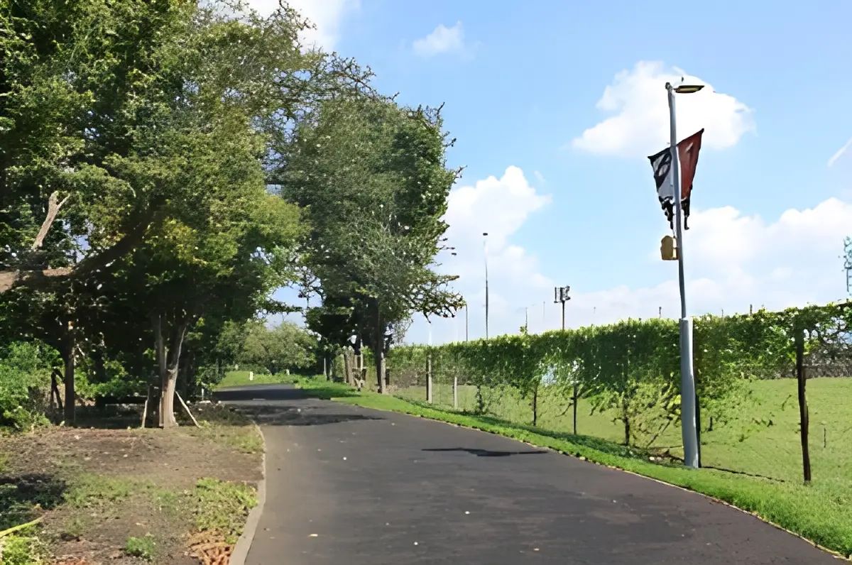 FC Himawari(ひまわり) 埼玉スタジアム2002 第4グランドのサムネイル画像 3