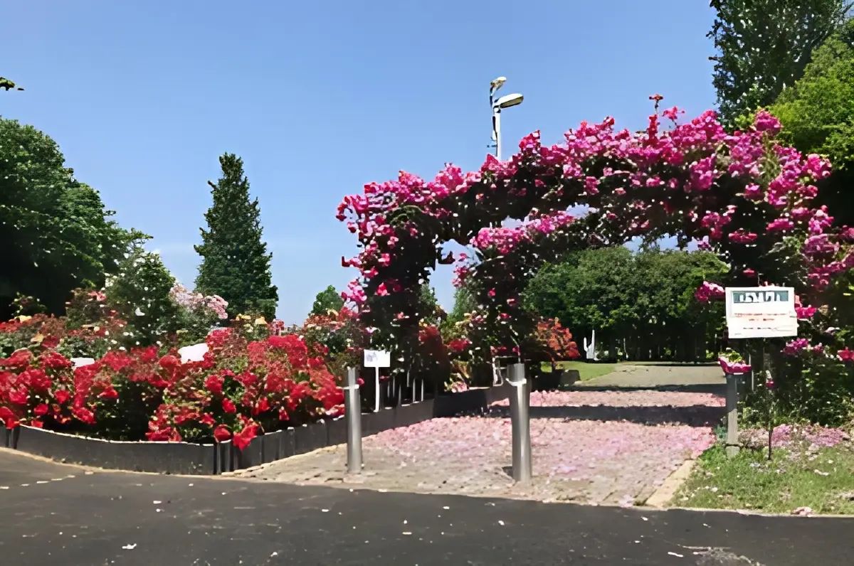 FC Himawari(ひまわり) 埼玉スタジアム2002 第4グランドのサムネイル画像 4