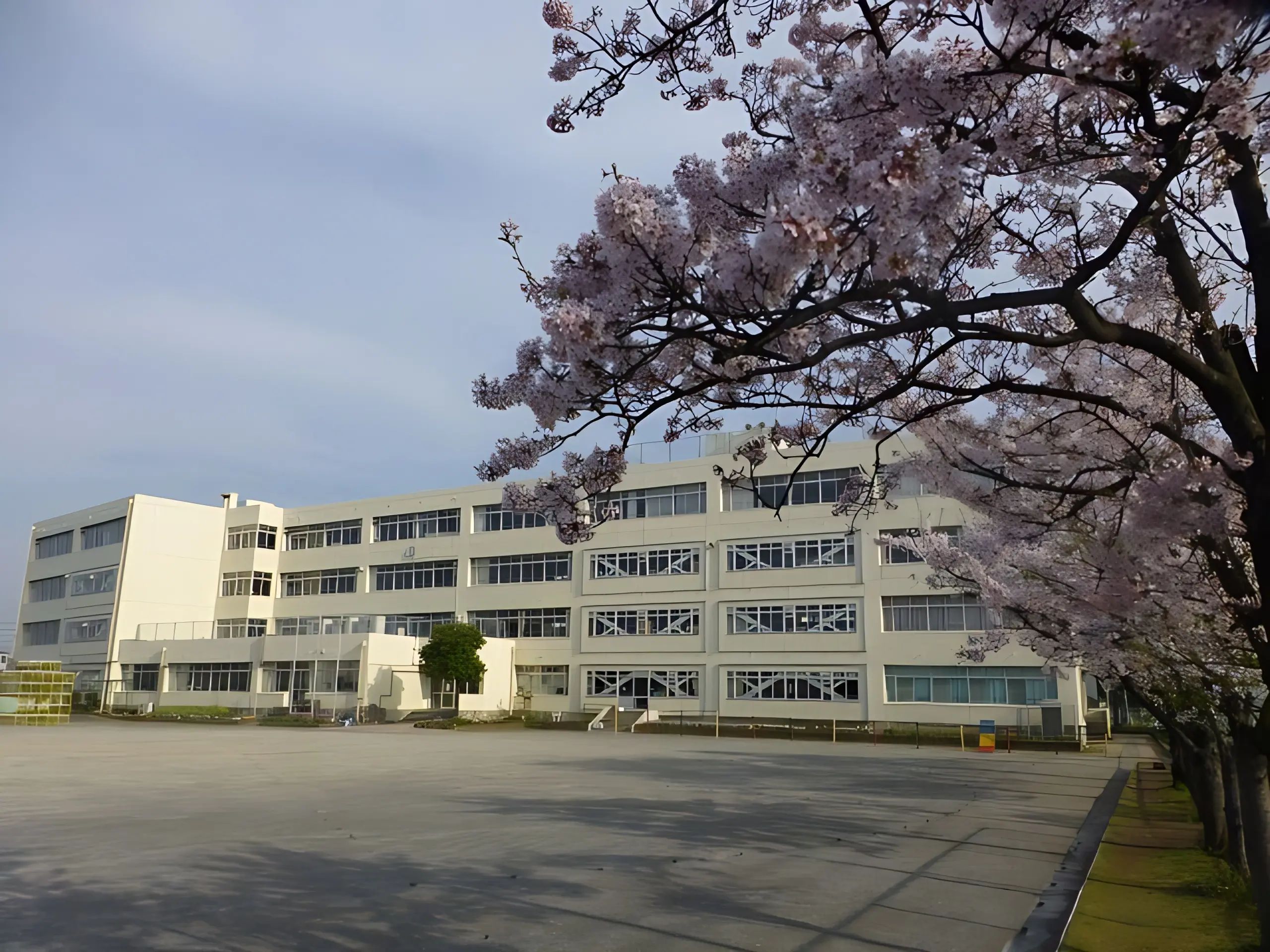 FC八潮 柳之宮小学校のメイン画像