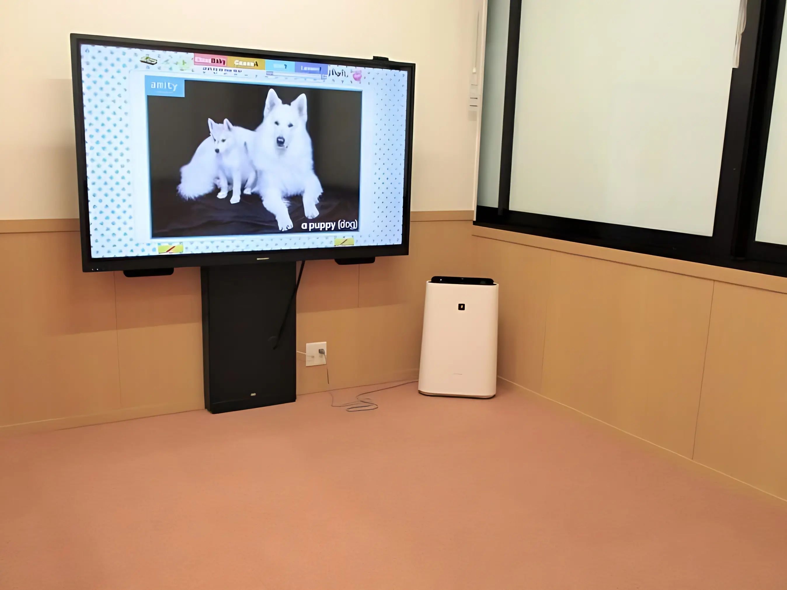 こども英会話専門校 アミティー 八王子校のメイン画像