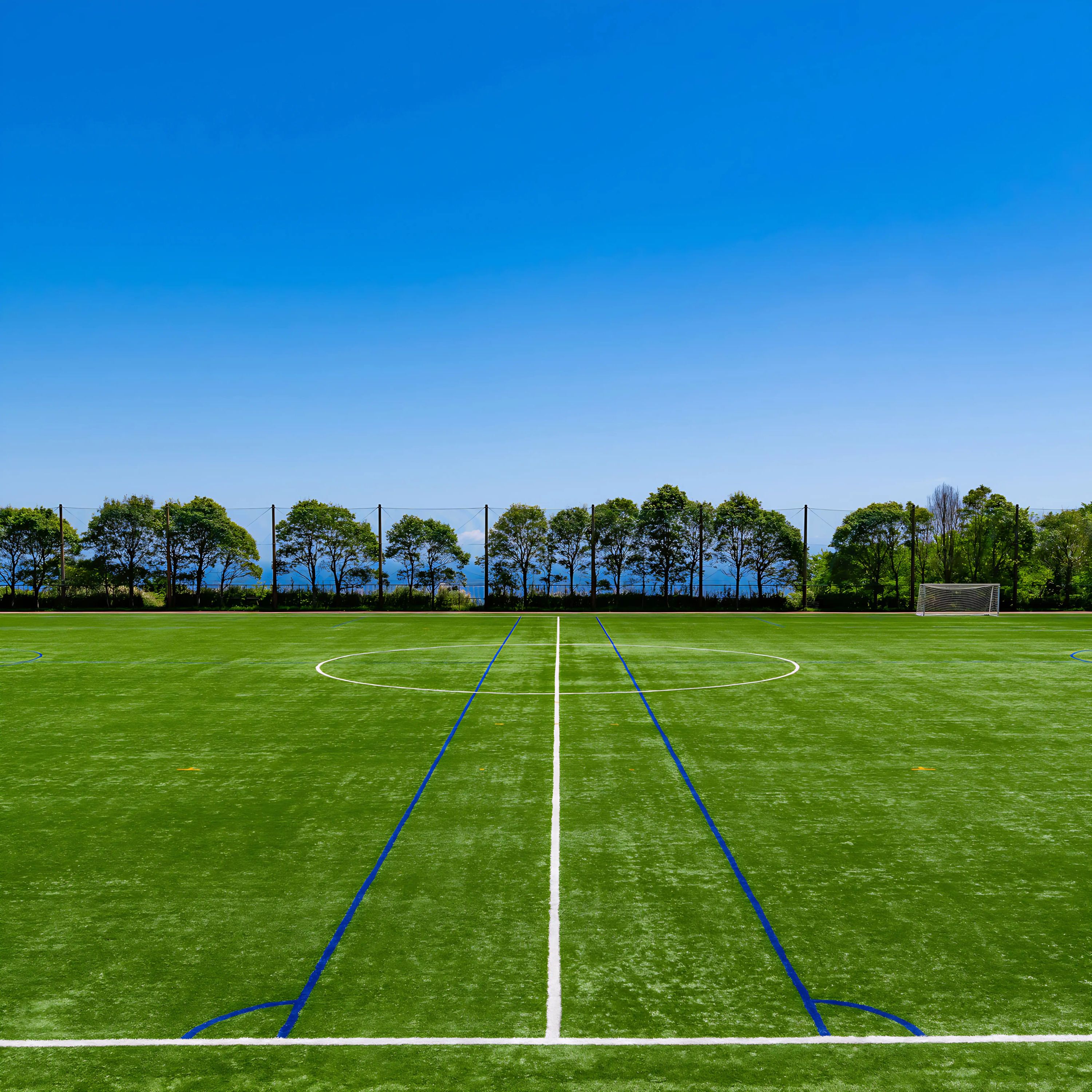 若鮎長良フットボールクラブ 畜産センターグラウンドのメイン画像