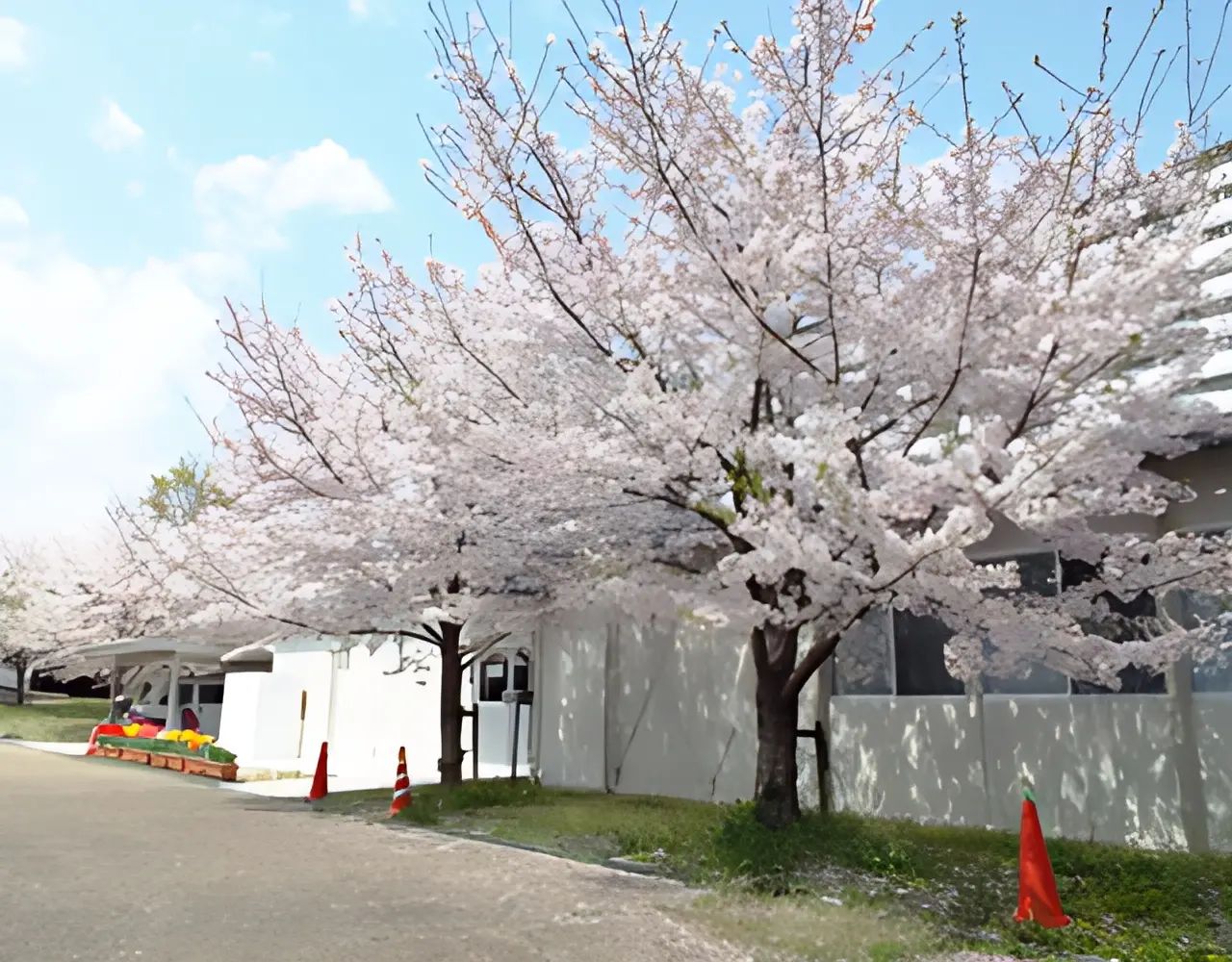 リトルFC 淀川河川公園のサムネイル画像 2