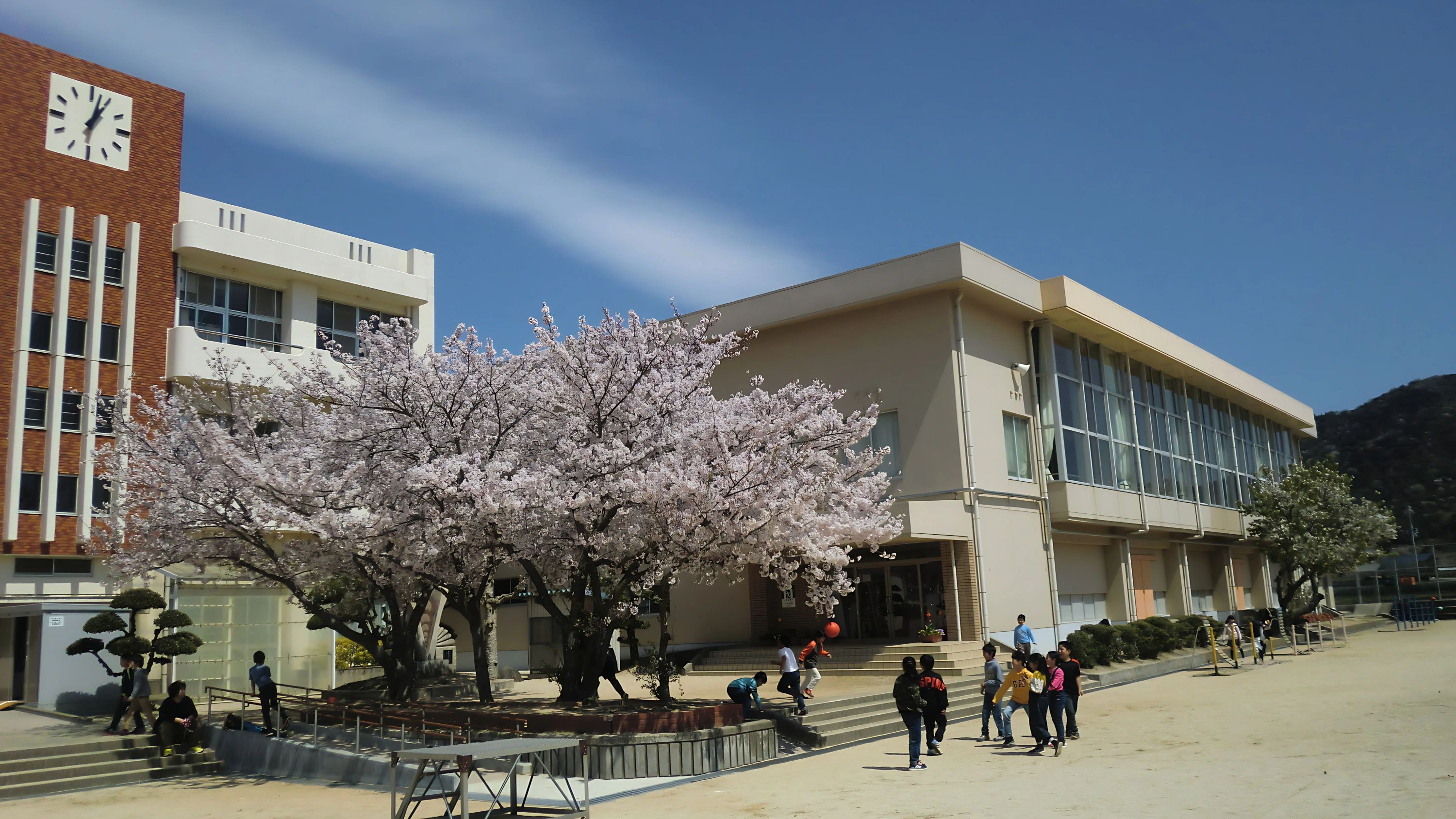 三原スポーツ少年団 南あわじ市立八木小学校のメイン画像
