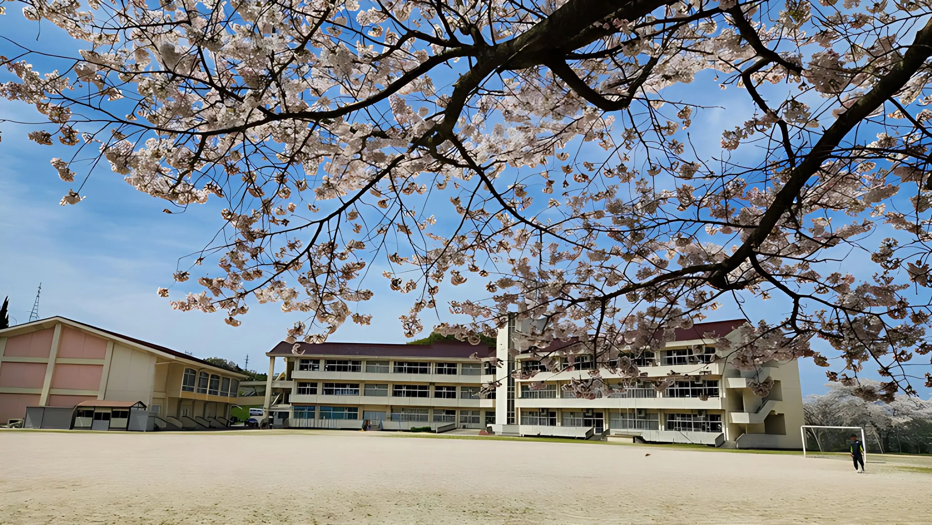 サンパルス浜田フットボールクラブ 浜田市立三階小学校グラウンドのメイン画像