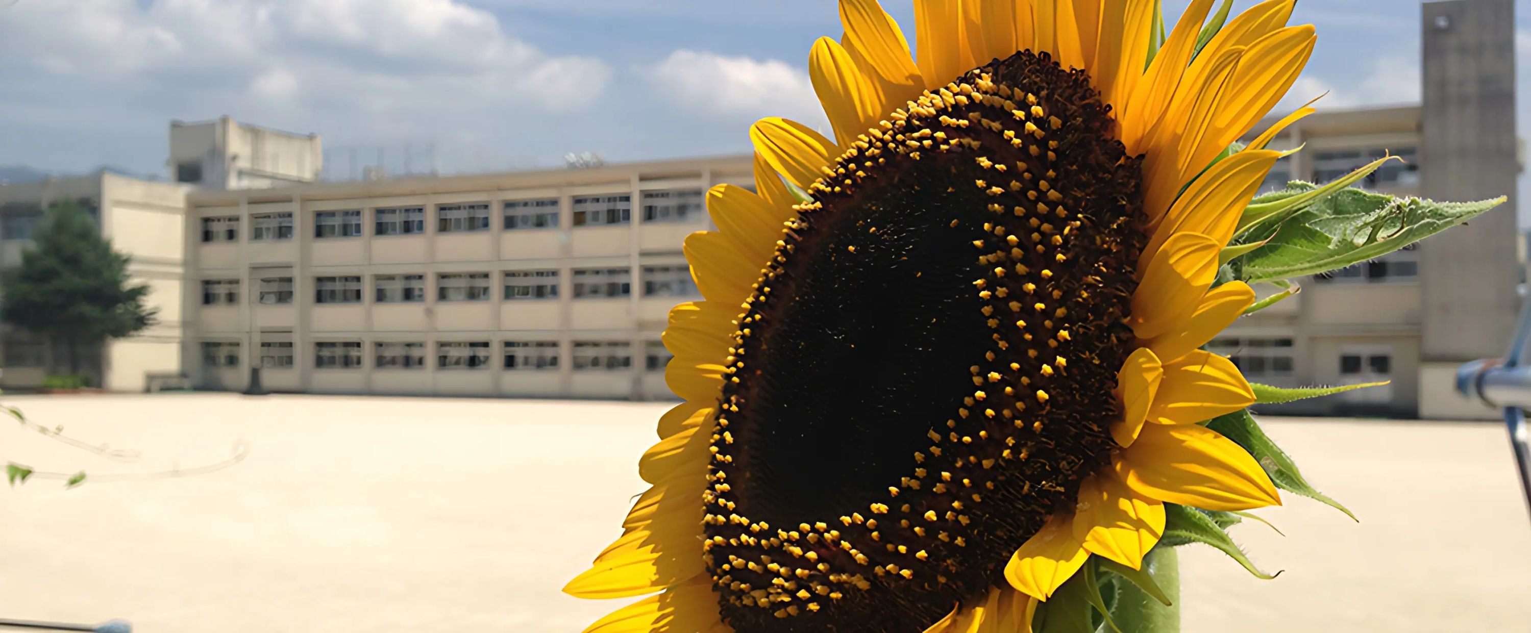 宇美フットボールクラブ 宇美町立宇美小学校のメイン画像