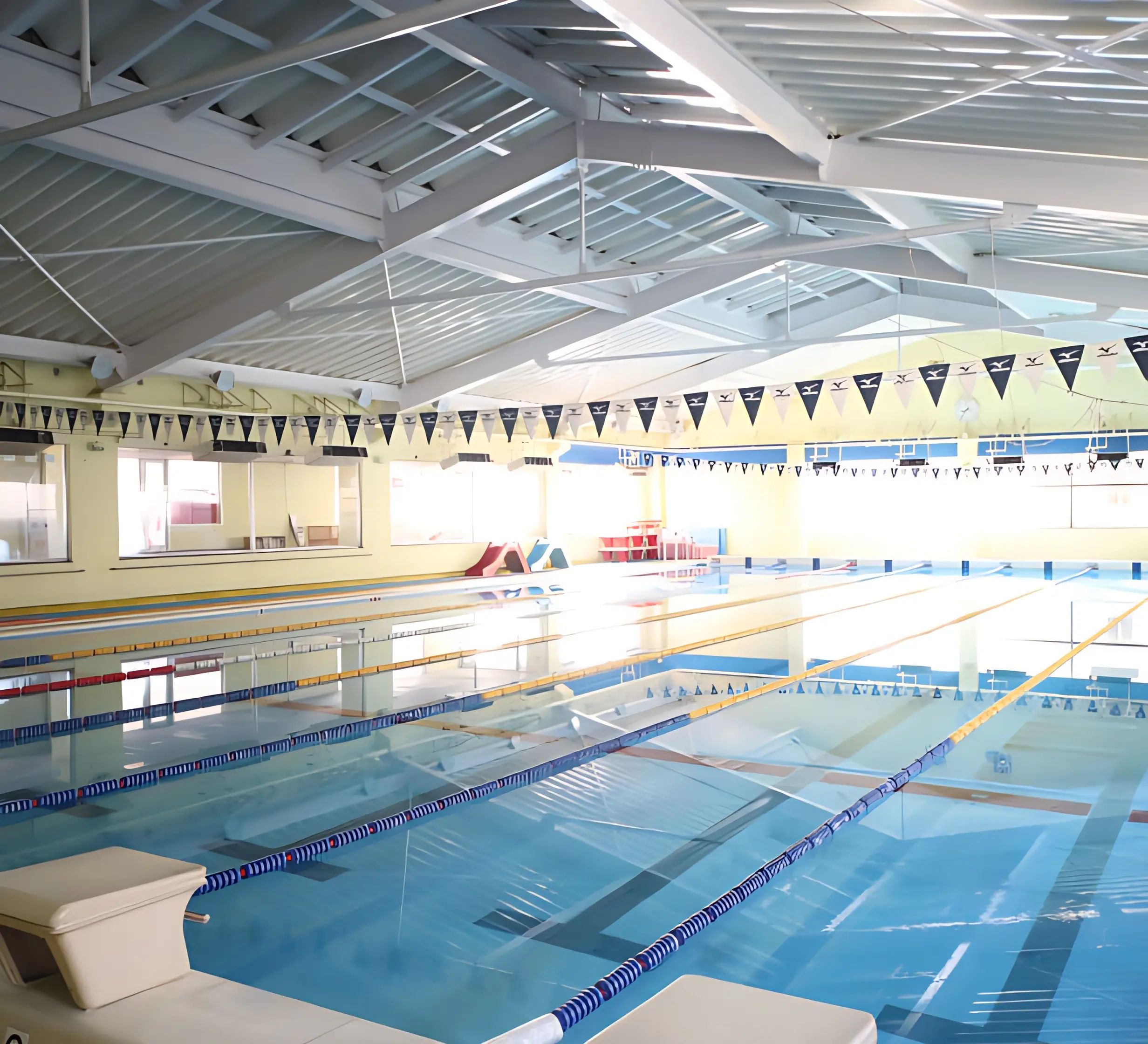 サンフラワースイミングスクールのサムネイル画像 2