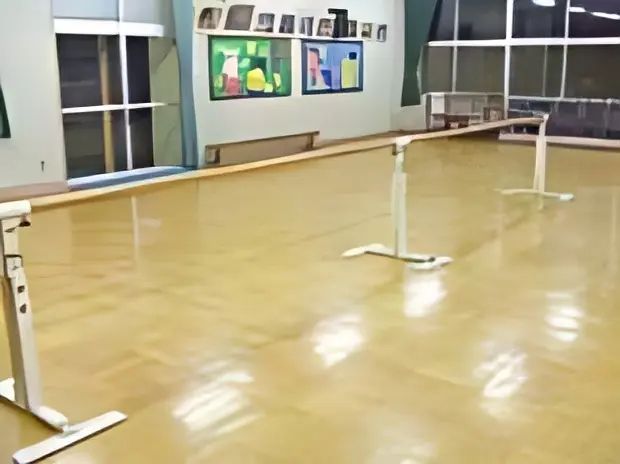 Aya (アヤ)Ballet Studio 白井スタジオのメイン画像