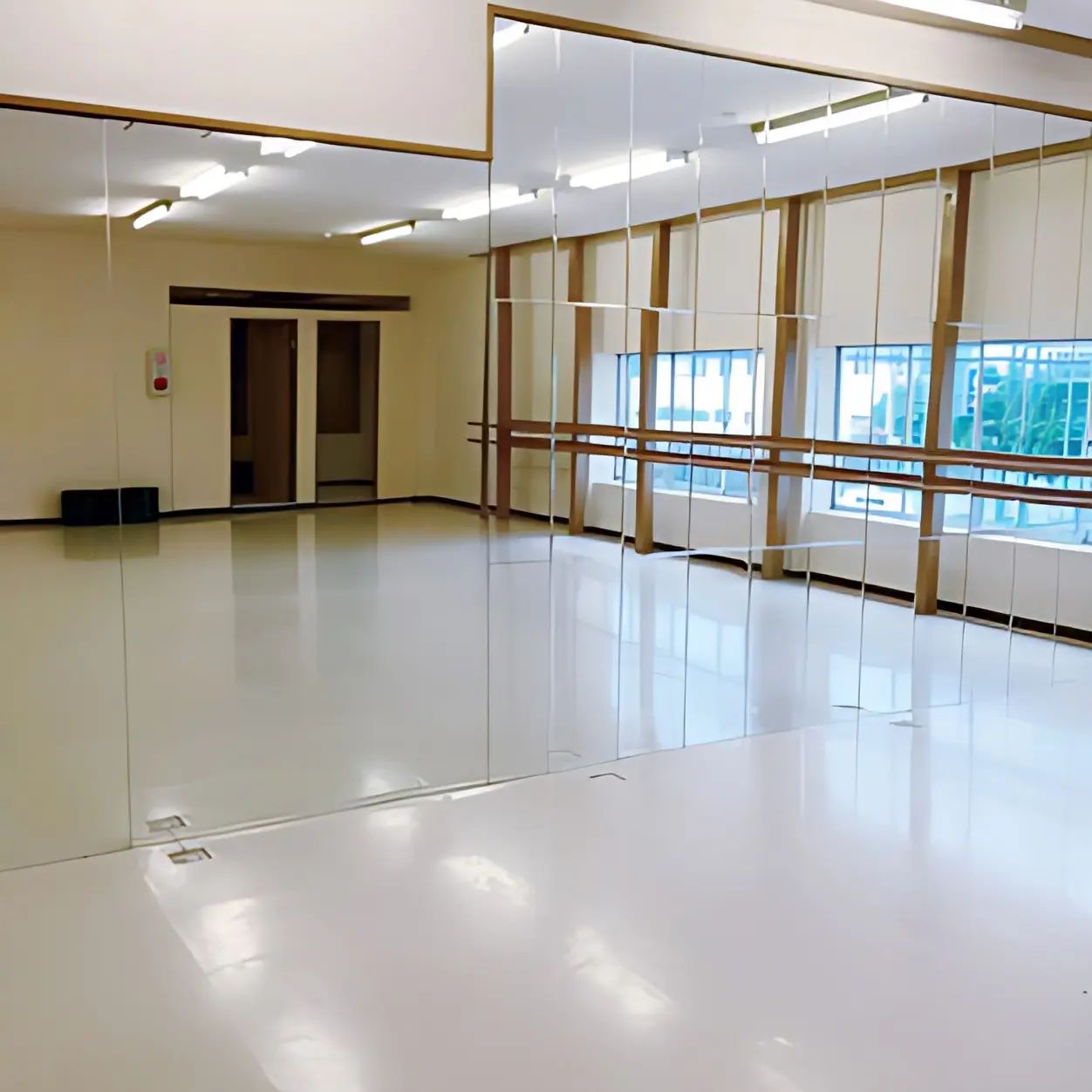 Tiaraballetschoolティアラバレエスクール 日下町教室のサムネイル画像 2