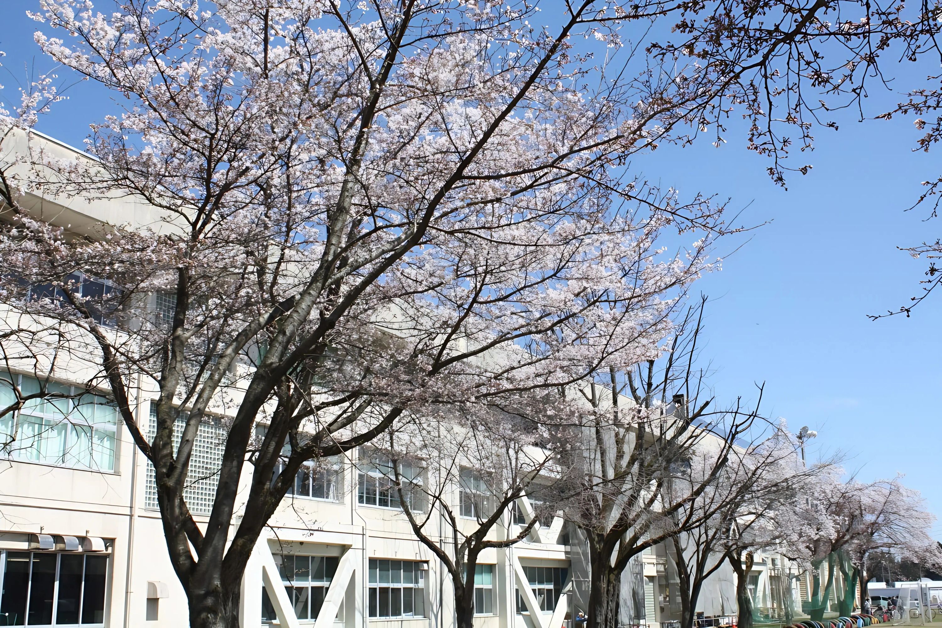 津南町野球スポーツ少年団 津南町立津南小学校グラウンドのサムネイル画像 2