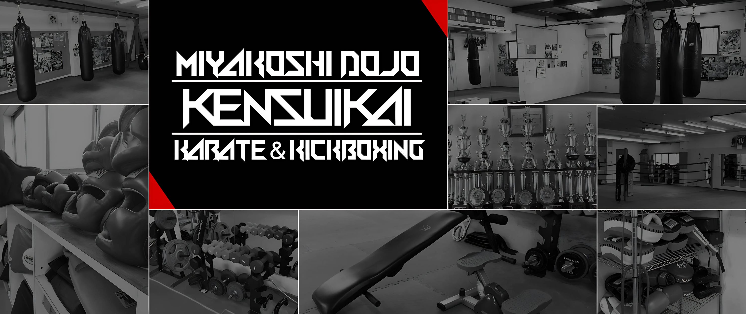 KENSUIKAI(拳粋会) 所沢本部のメイン画像