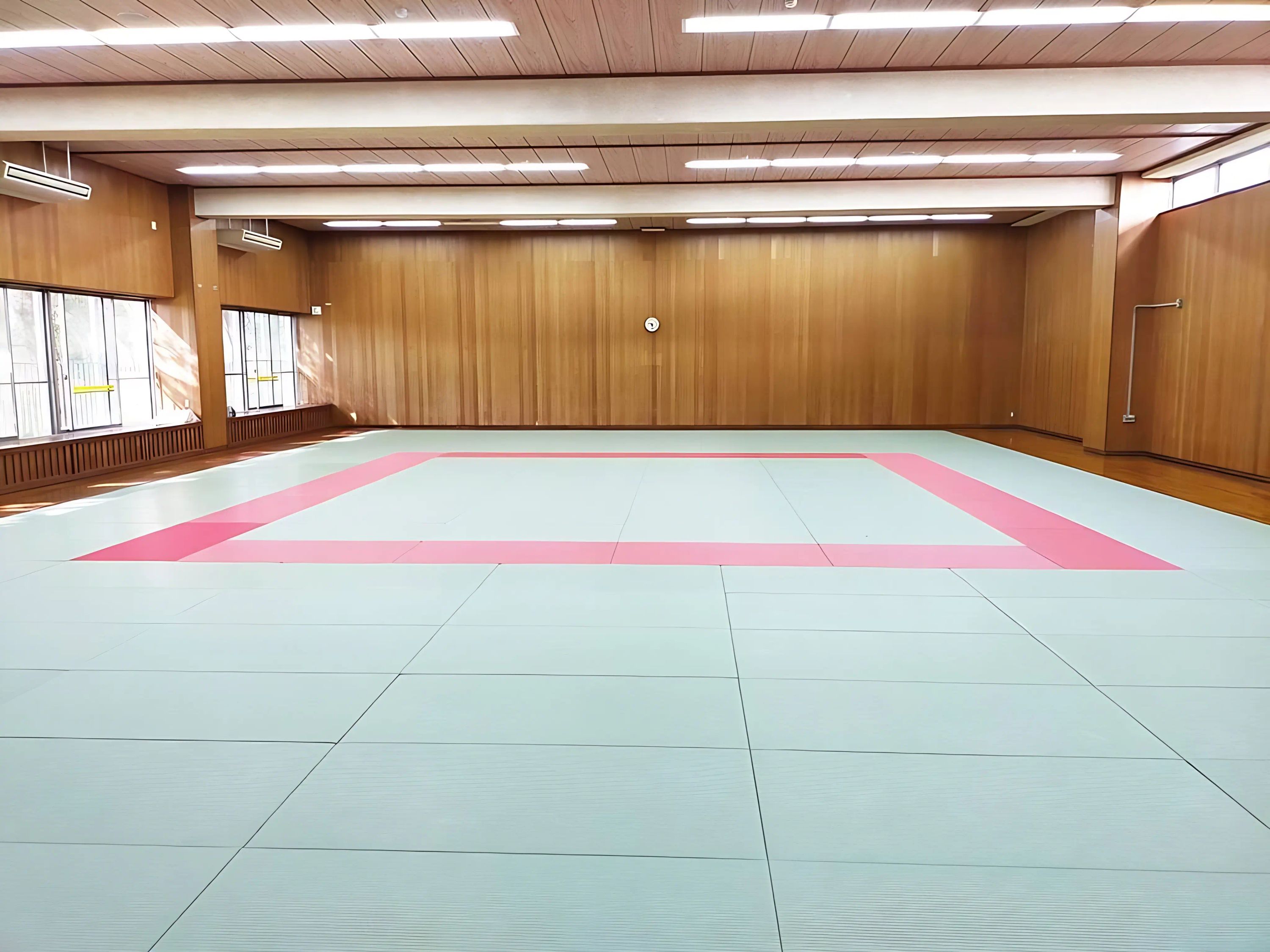 剛柔流 拳辰館 八千代市市民体育館第一武道場のメイン画像