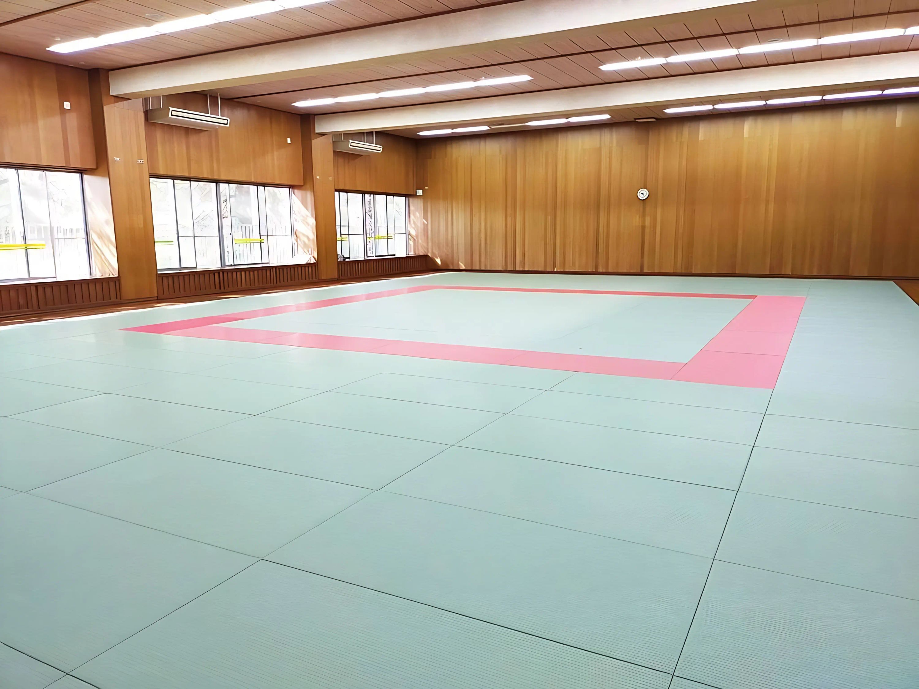 剛柔流 拳辰館 八千代市市民体育館第一武道場のサムネイル画像 2