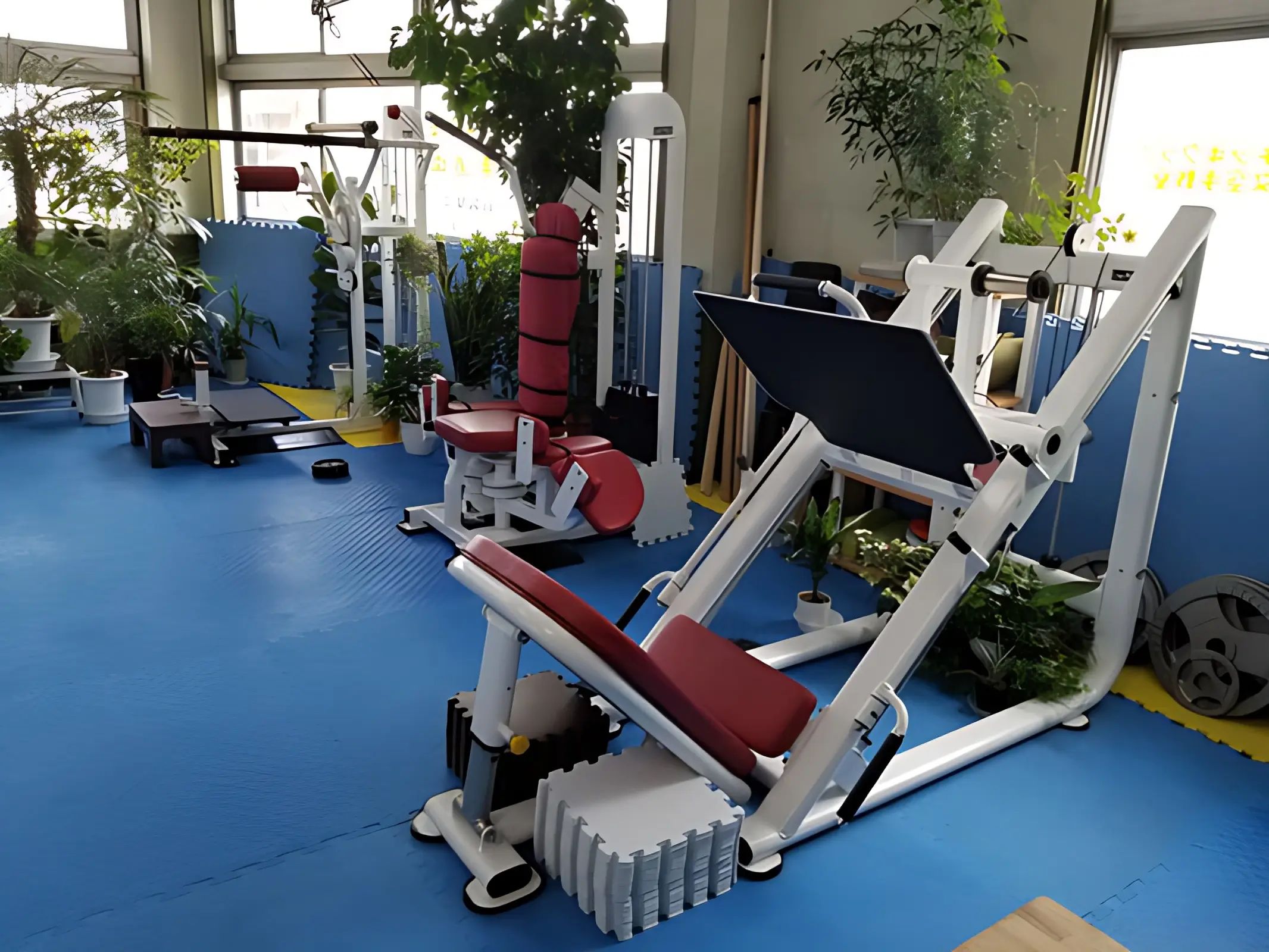 空手道禅道会 茅野道場のメイン画像