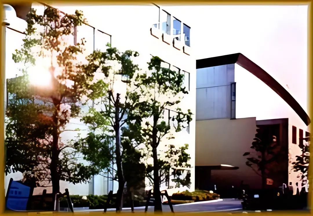 芦屋空手道協会 本部道場のメイン画像