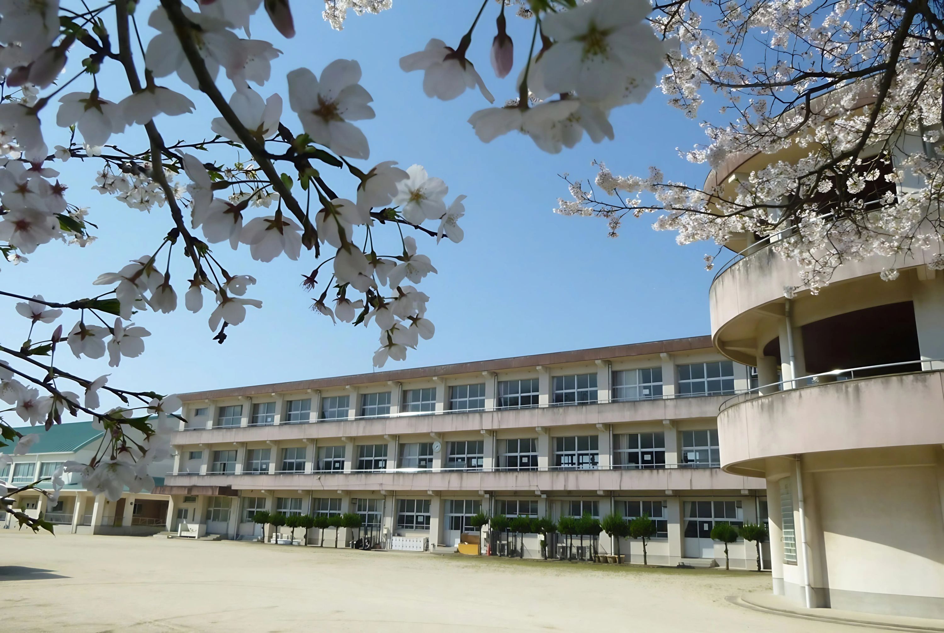 勇征会 丹生小学校のメイン画像