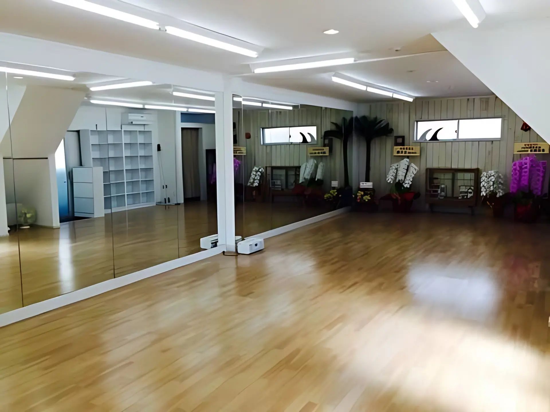 YELLOW SPARROW ダンス 武蔵新城校のメイン画像