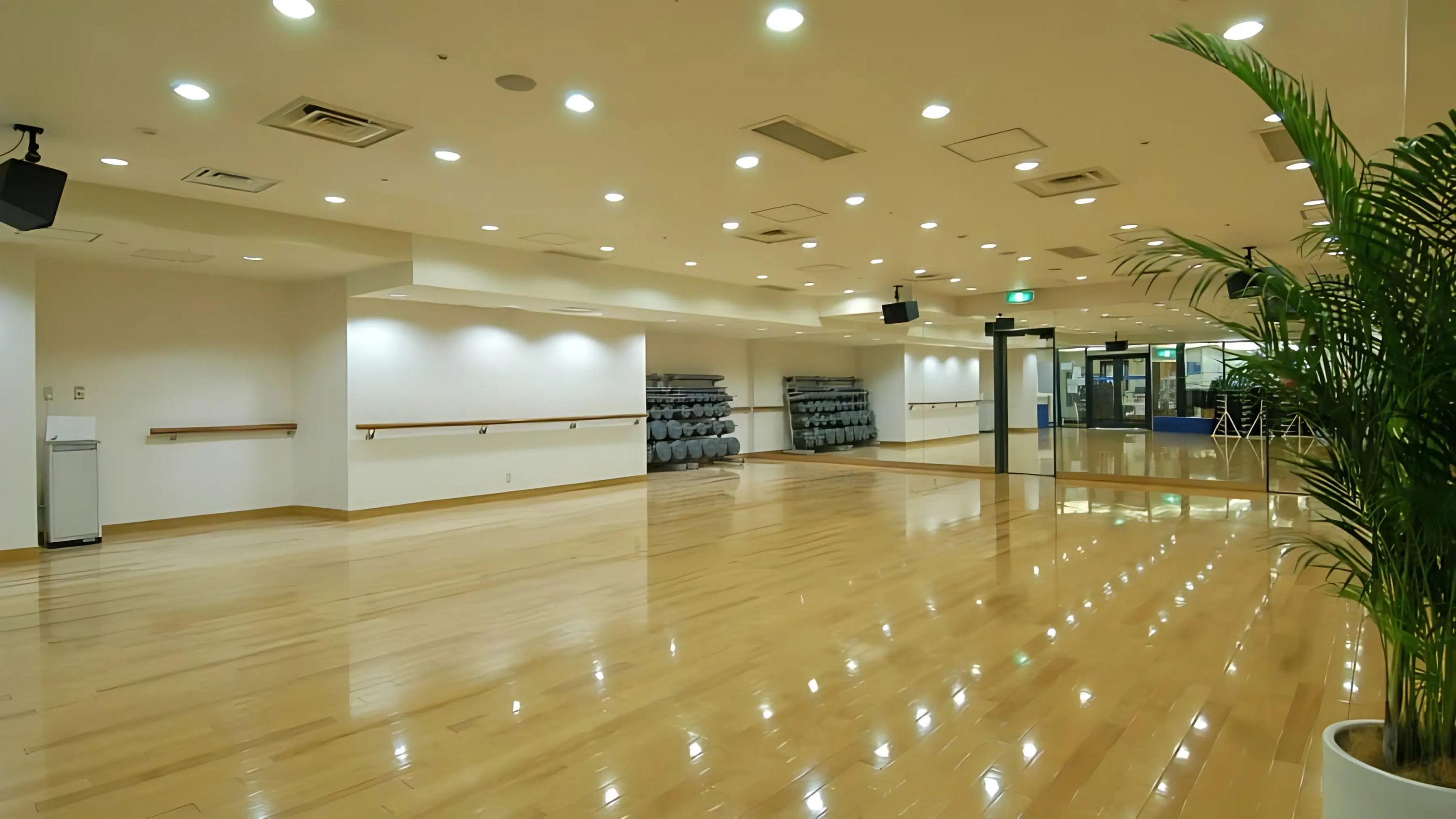 Oasis Kids(オアシス キッズ) ダンス 茨城店のサムネイル画像 3