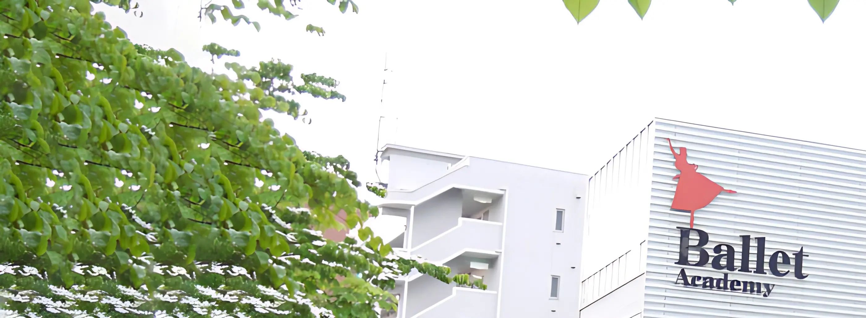 Be Mixx ダンス 森川里美バレエアカデミーのメイン画像