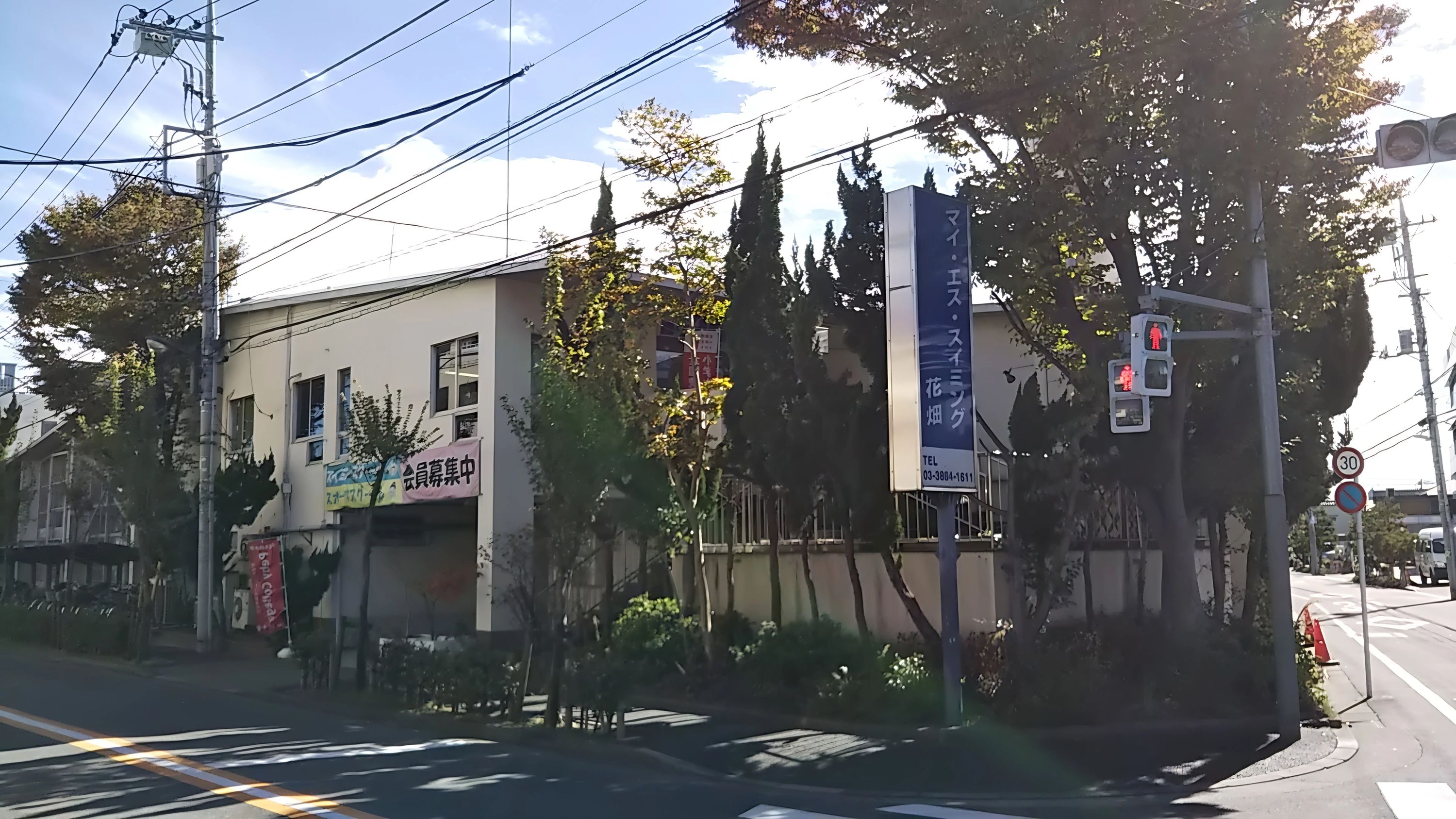 マイ・エス・スイミング 花畑のメイン画像