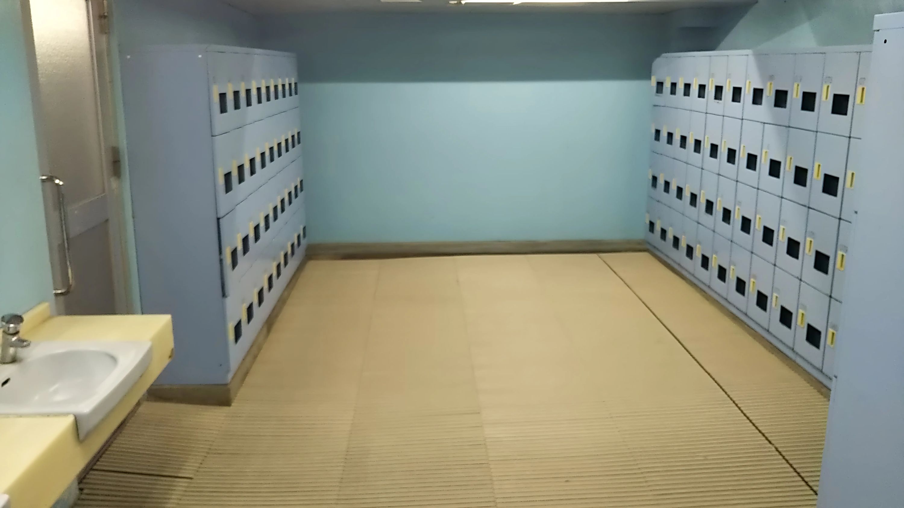 マイ・エス・スイミング 花畑のサムネイル画像 2