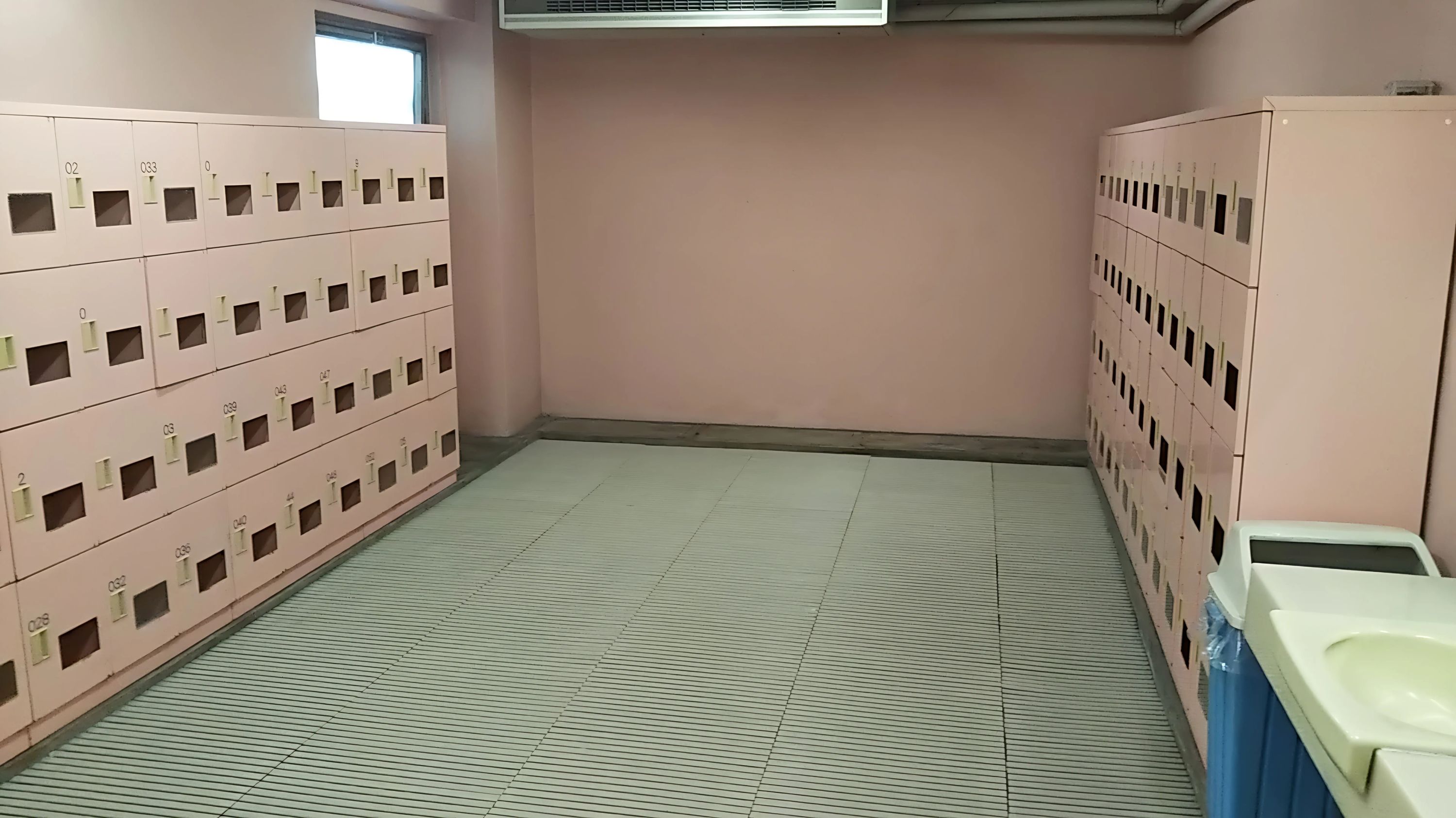 マイ・エス・スイミング 花畑のサムネイル画像 3