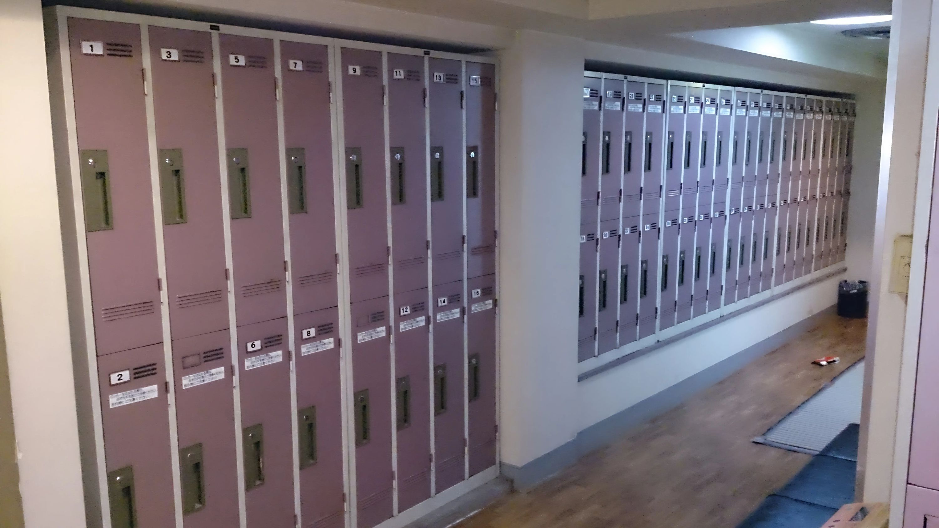 マイ・エス・スイミング 花畑のサムネイル画像 5