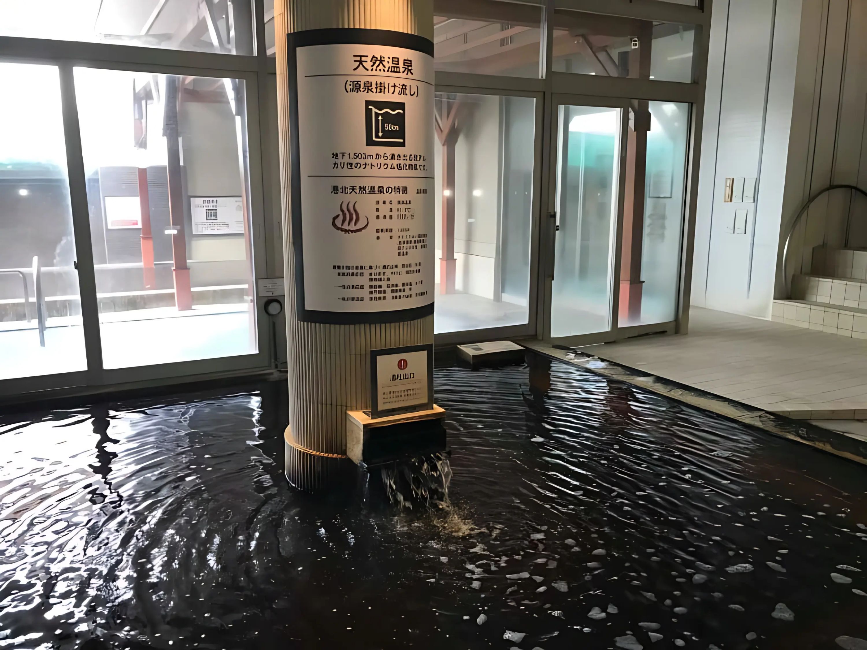 東急スポーツオアシス スイミング・水泳 港北のサムネイル画像 4